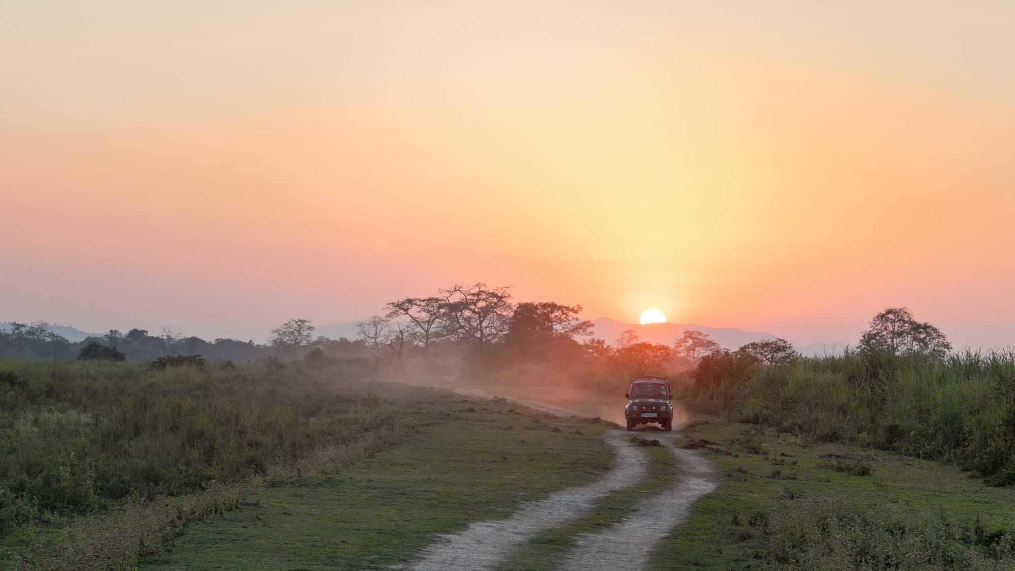 Magischer Brahmaputra ab Assam | Dibrugarh | Guwahati: Indien Kaziranga NP Jeep Safari