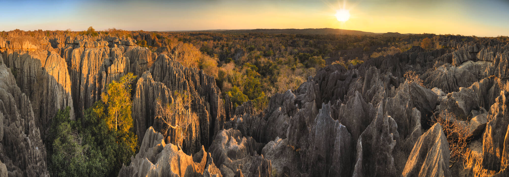Morondava - Kleine & Große Tsingy ab Antananarivo: Madagaskar Tsingy de Bemaraha NP