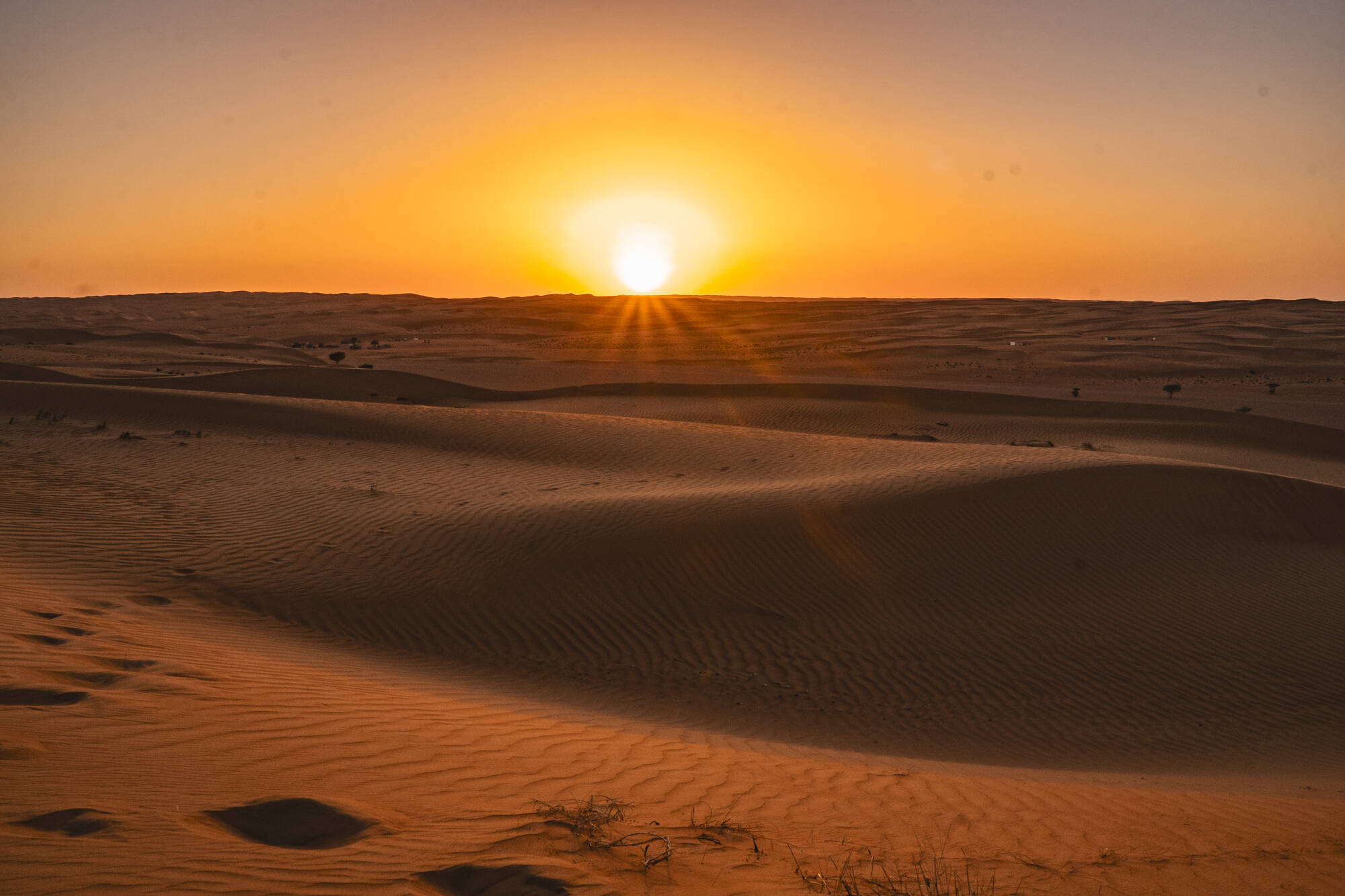 Expedition Wüste: Nord ab Muscat: Oman Wahiba Sands Sonnenuntergang