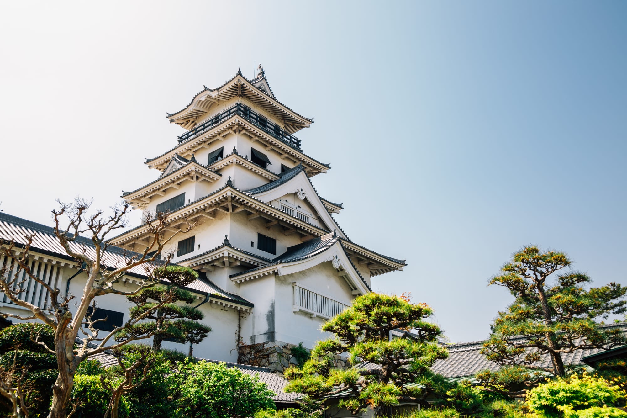Westjapan entdecken mit dem Luxusbus ab Osaka: Japan Shikoku Ehime Imabari Burg