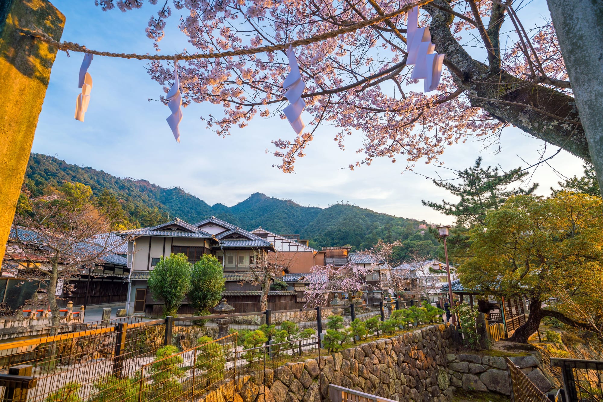 Westjapan entdecken mit dem Luxusbus ab Osaka: Japan Miyajima