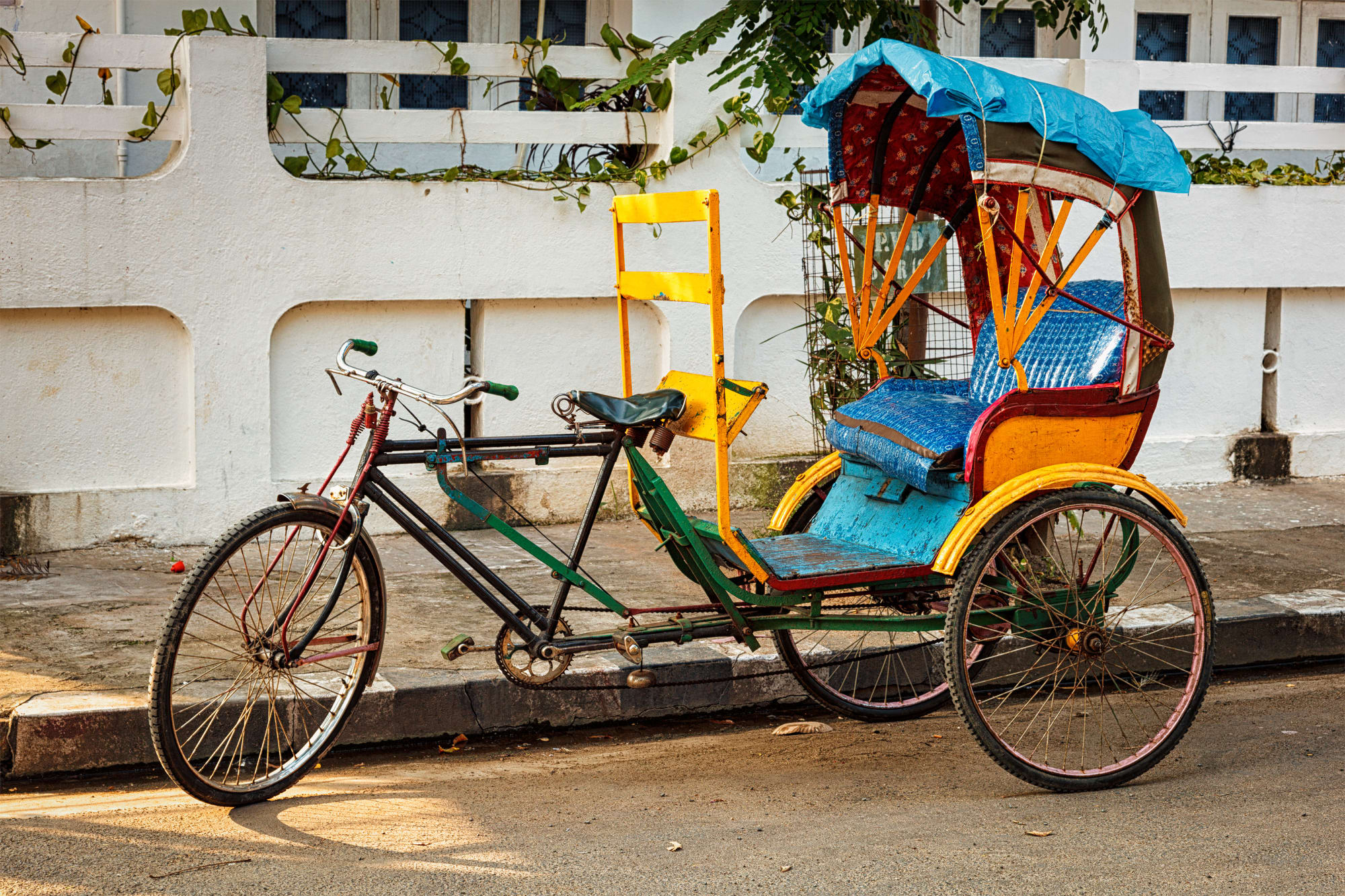 Goldenes Dreieck intensiv ab Delhi: 5in-Bicycle-rickshaw-as-2025-119998488-Dmitry Rukhlenko