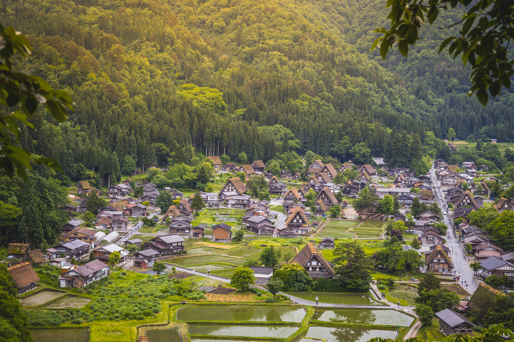 Das Land der Geishas inkl. Flug ab Tokio: Japan Shirakawago Dorf