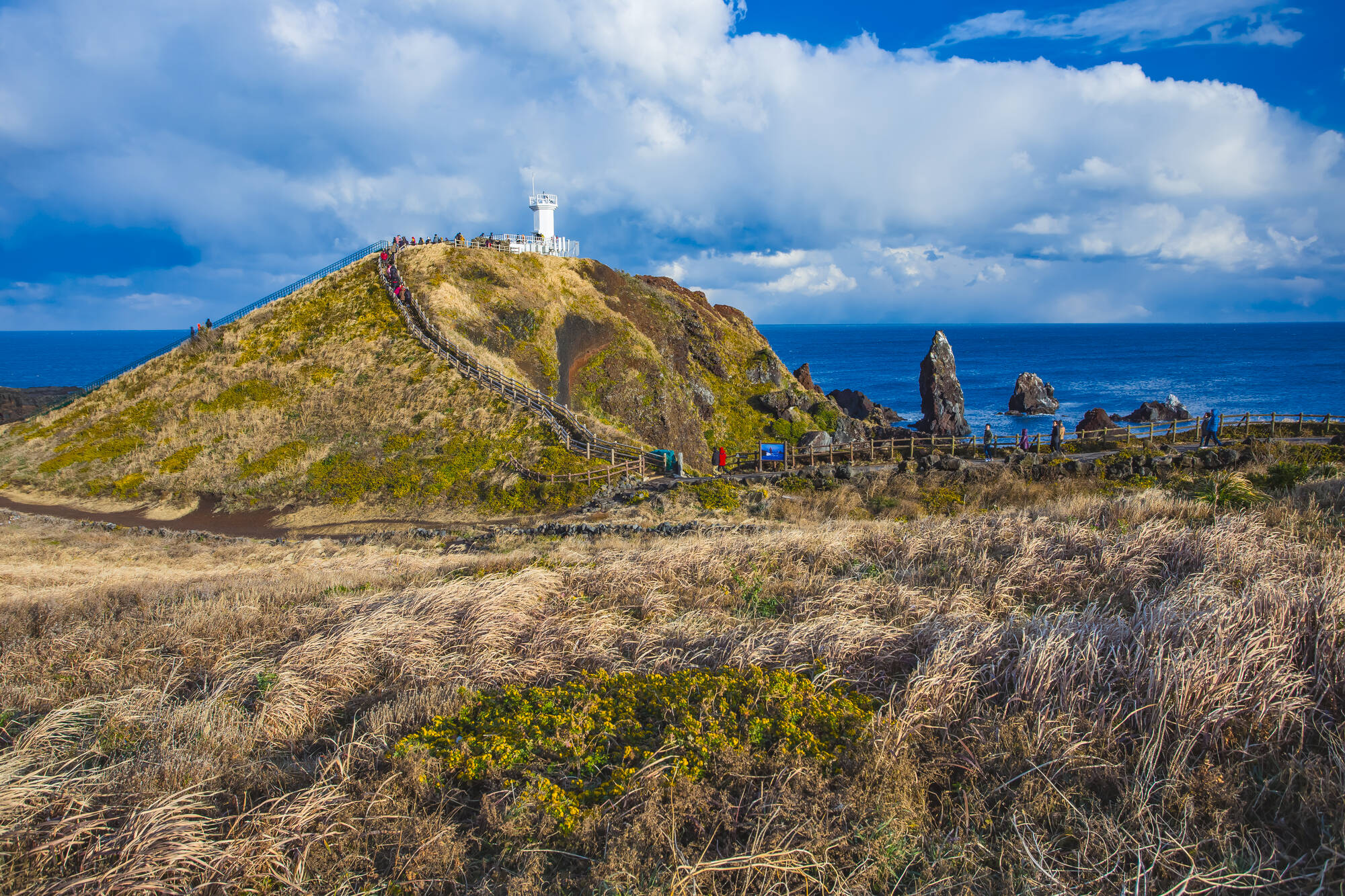 Jeju entdecken: Südkorea Jeju Seopjikoji