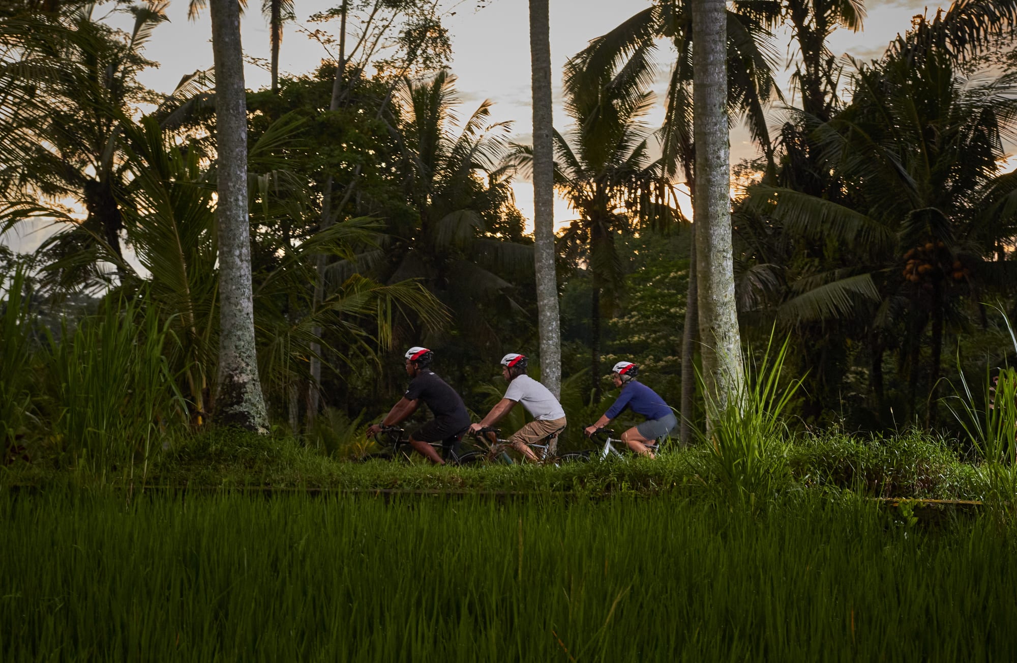 Bike Bali - Die Götterinsel mit dem E-Bike ab Zentral-Bali | Ubud: Indonesien Bike Bali