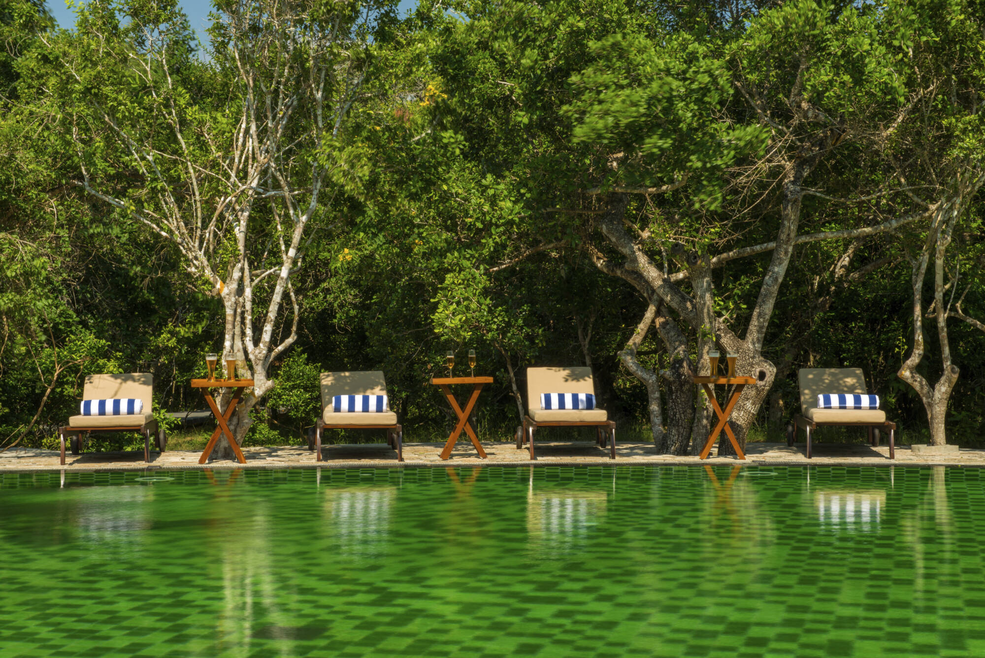 Uga Chena Huts in Yala National Park: Sri Lanka Chena Huts Pool