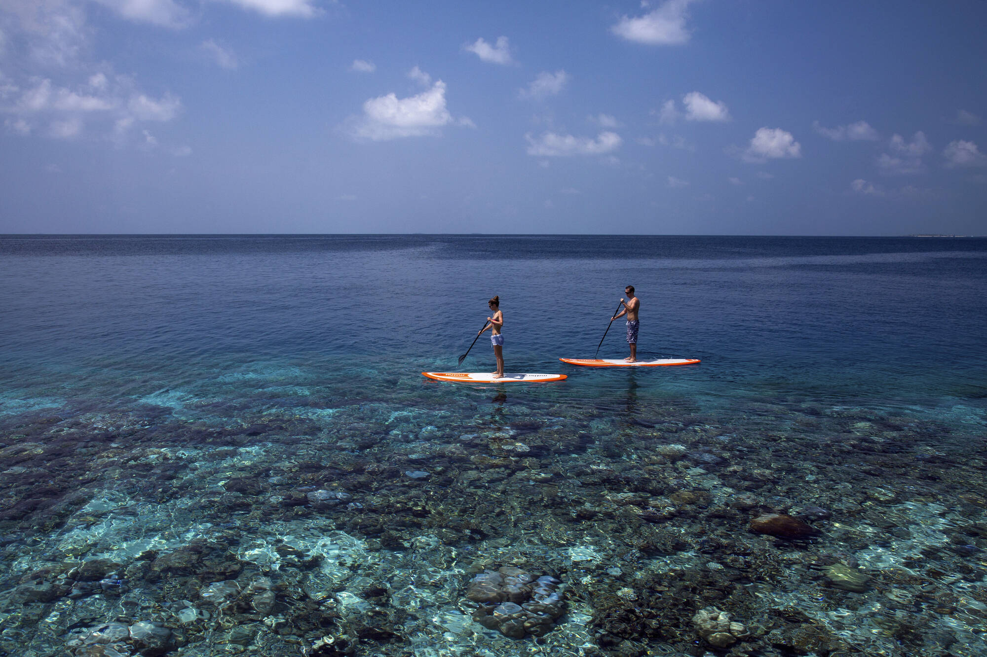 Coco Bodu Hithi in Malediven:  Coco Bodu Hithi - Wassersport