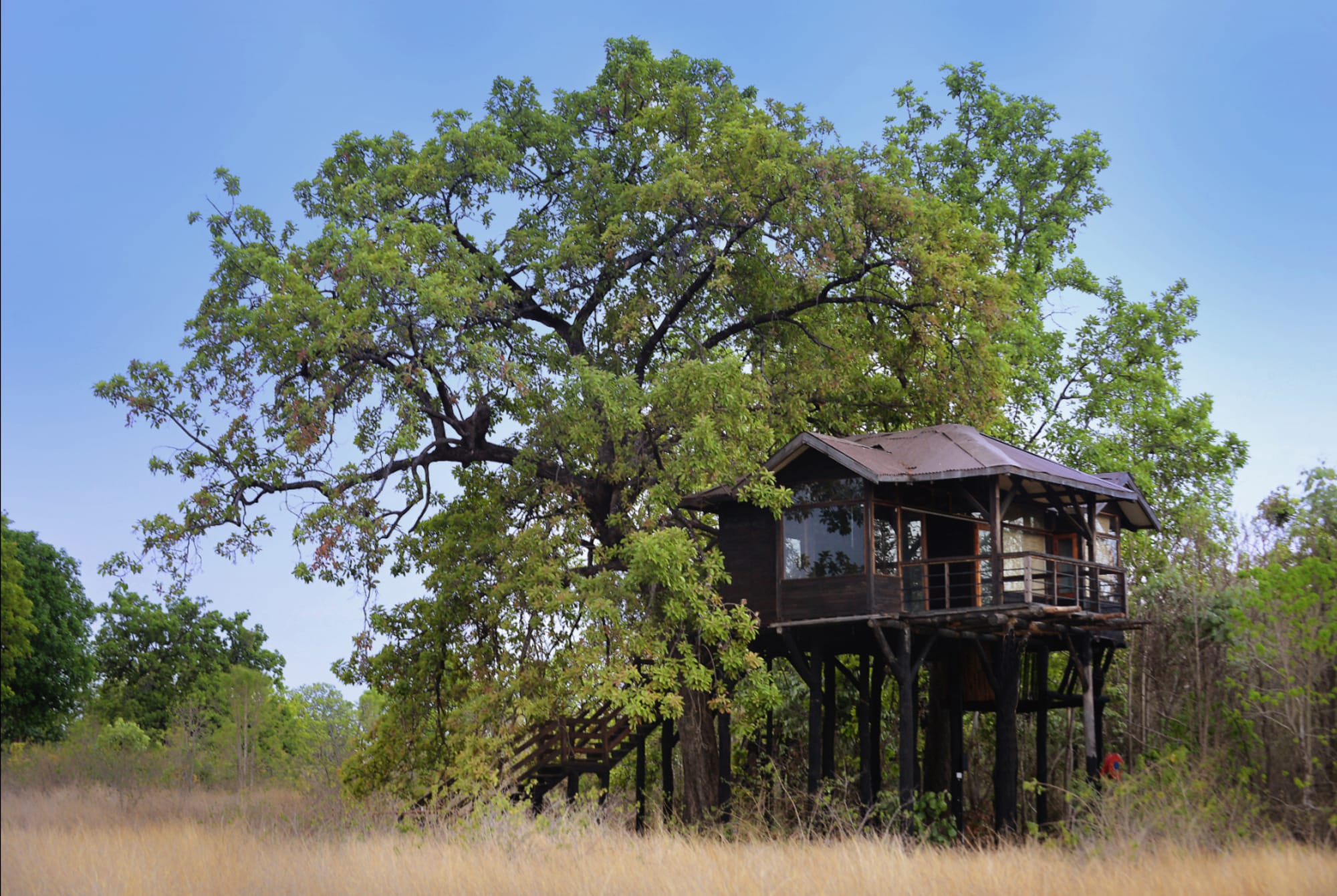 Pench Tree Lodge in Madhya Pradesh | Khajuraho:  Pench Tree Lodge