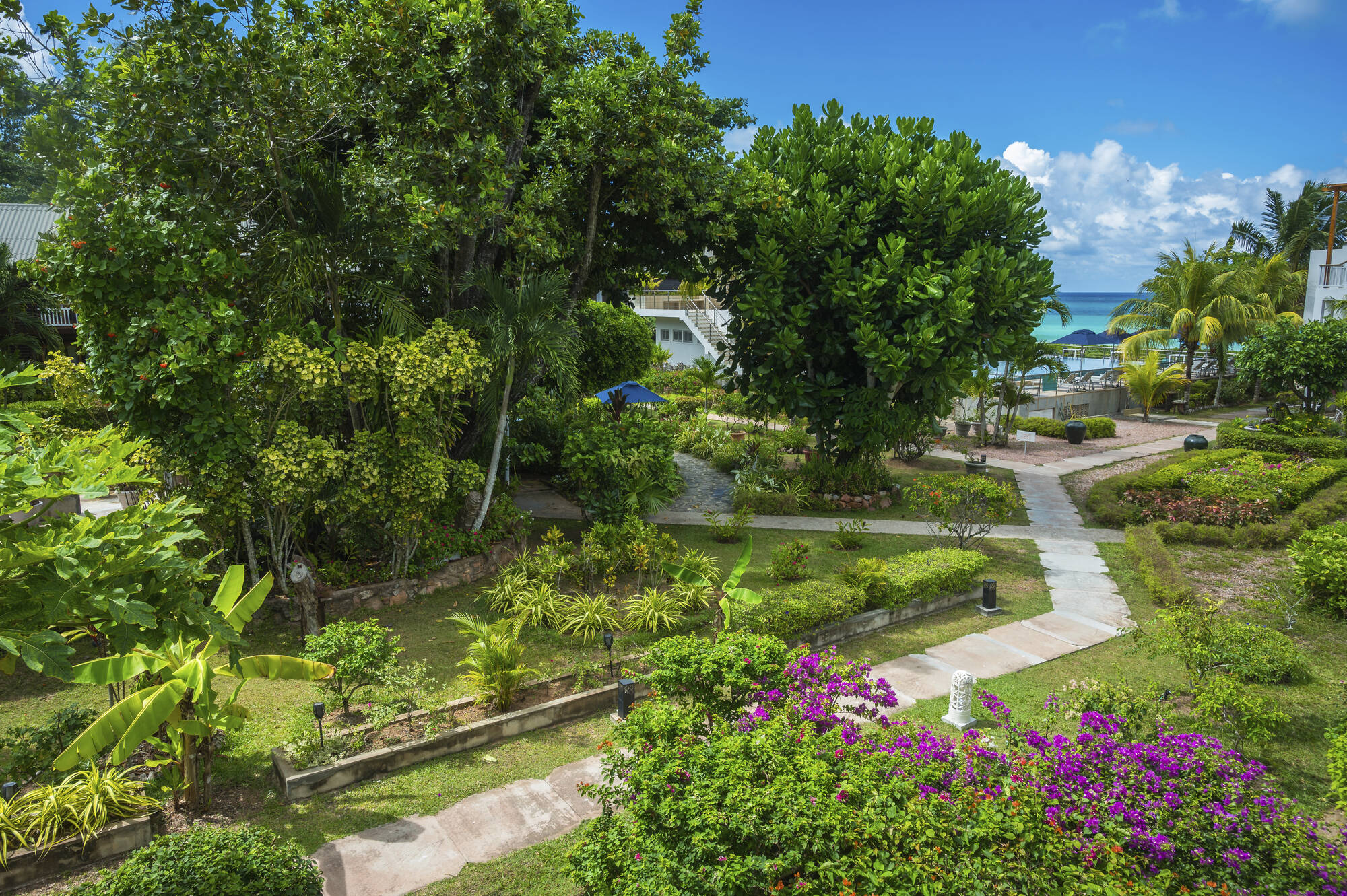 Acajou Beach Resort in Praslin: Garden 4
