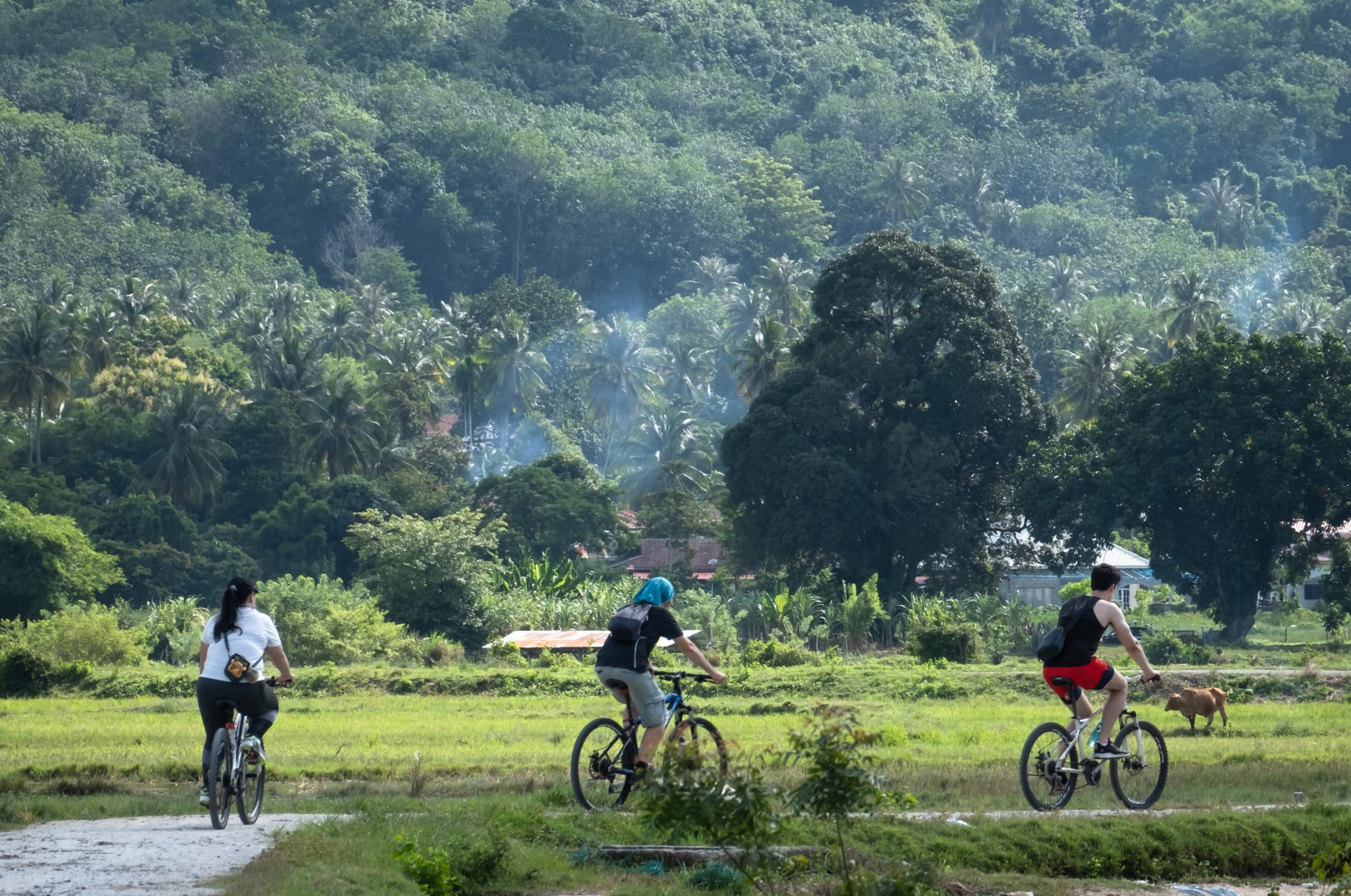 Langkawi Radtour, EN, Halbtägig: devs adv tours_nature cycling_001