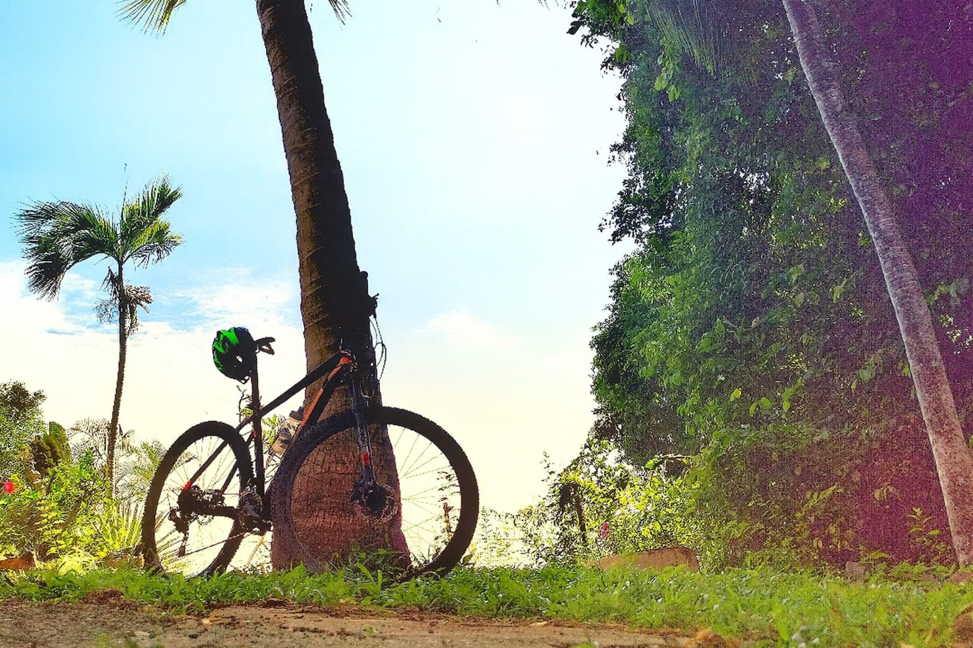 Langkawi Radtour, EN, Halbtägig: devs adv tours_nature cycling_008