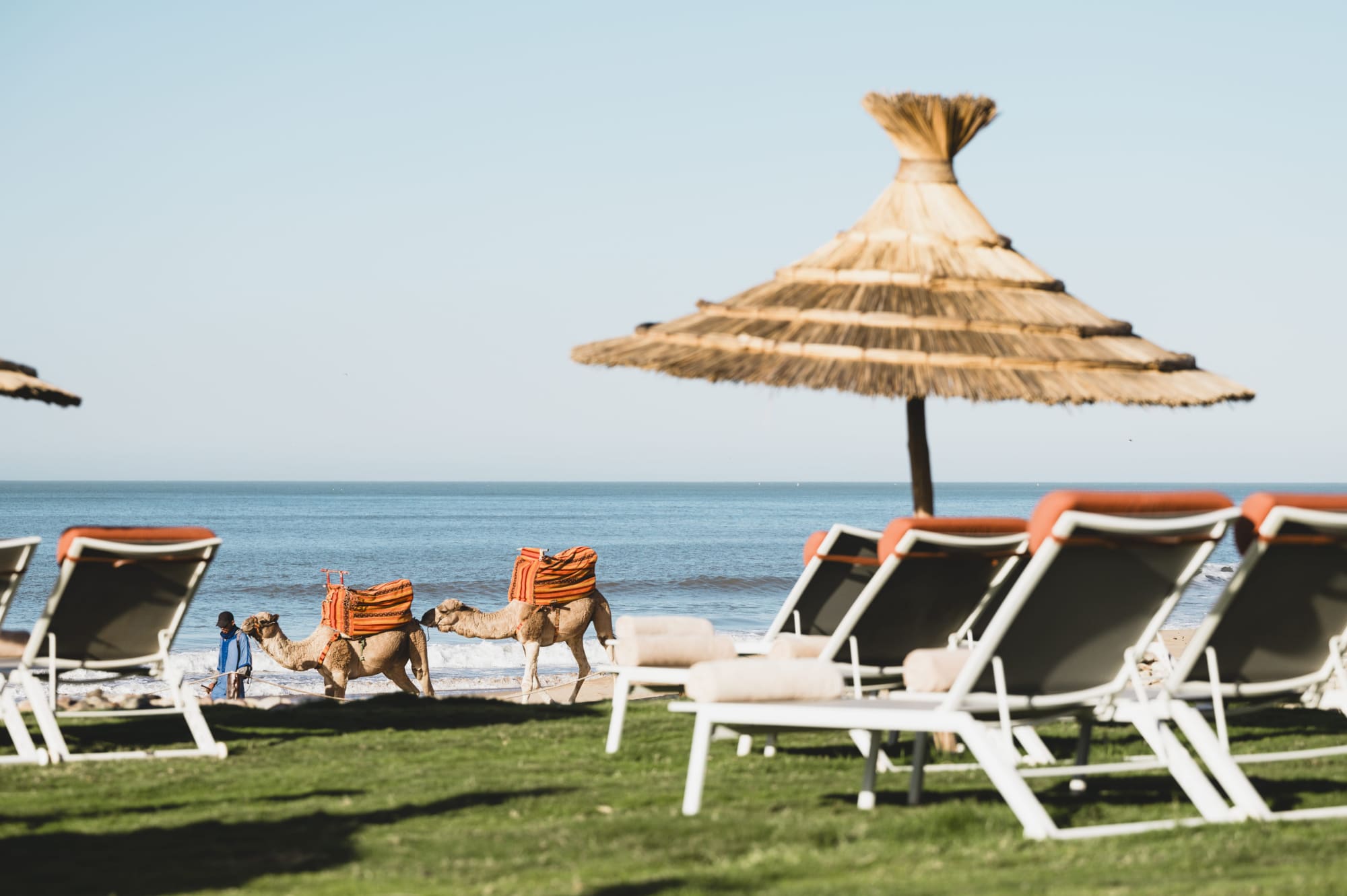 Paradis Plage Surf Yoga Resort & Spa in Agadir | Taghazout:  Paradis Plage  Beach-Front-Sunbeds-And-Camels