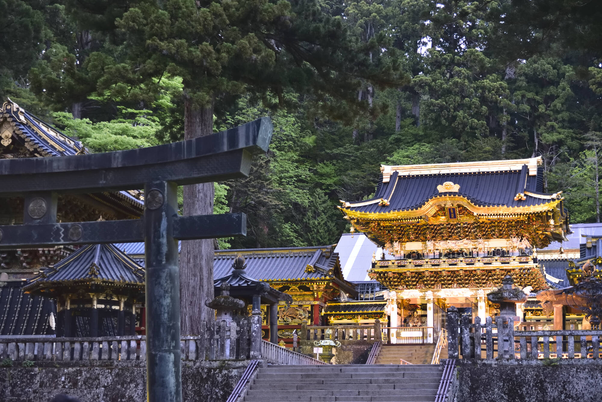 Kulturelles China & Japan ab Xian: Japan Nikko