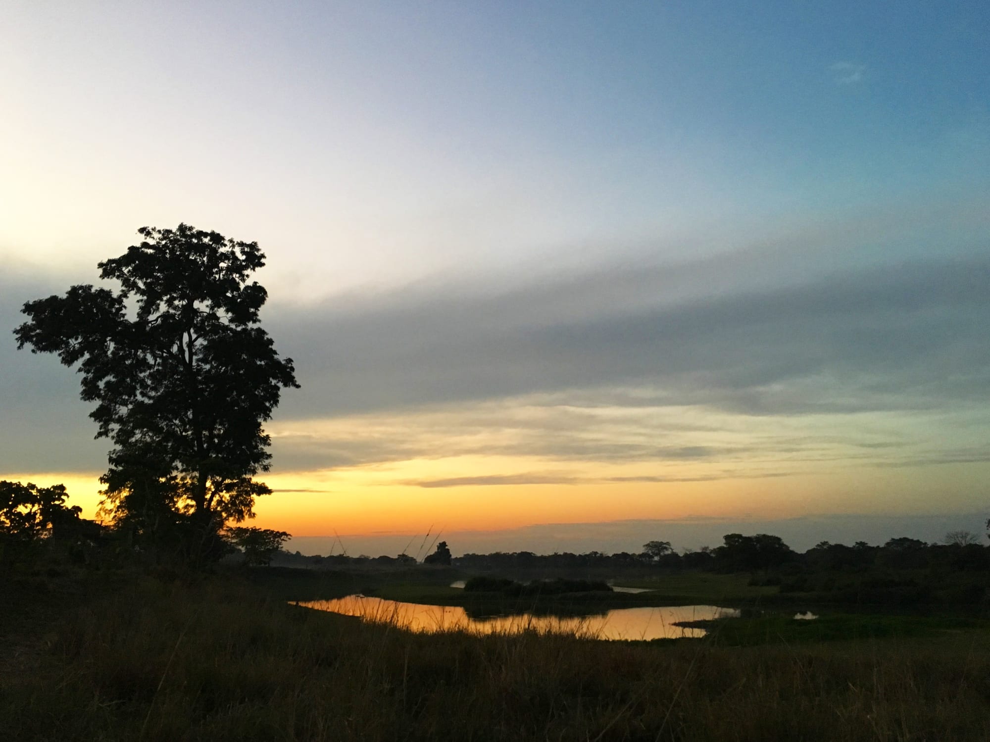 Diphlu River Lodge in Assam | Dibrugarh | Guwahati: Diphlu River Lodge