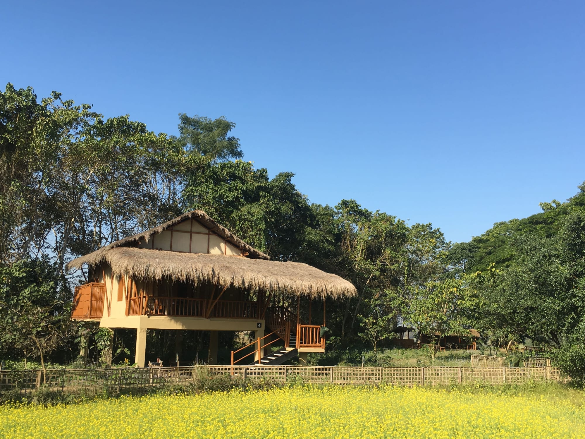 Diphlu River Lodge in Assam | Dibrugarh | Guwahati: Diphlu River Lodge