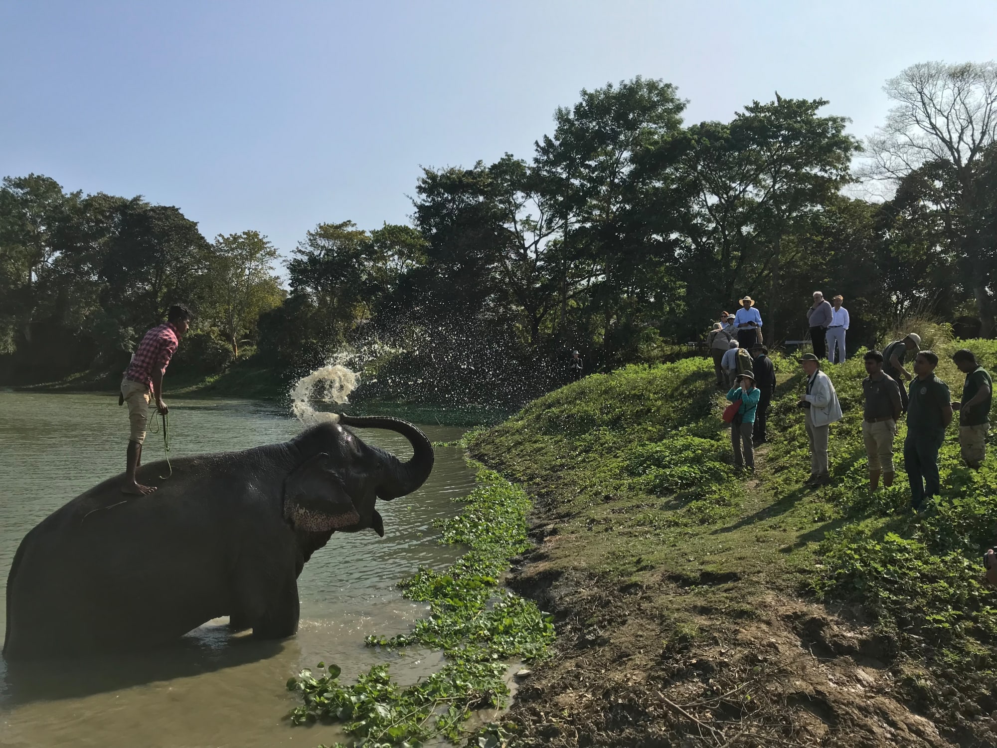 Diphlu River Lodge in Assam | Dibrugarh | Guwahati: Diphlu River Lodge