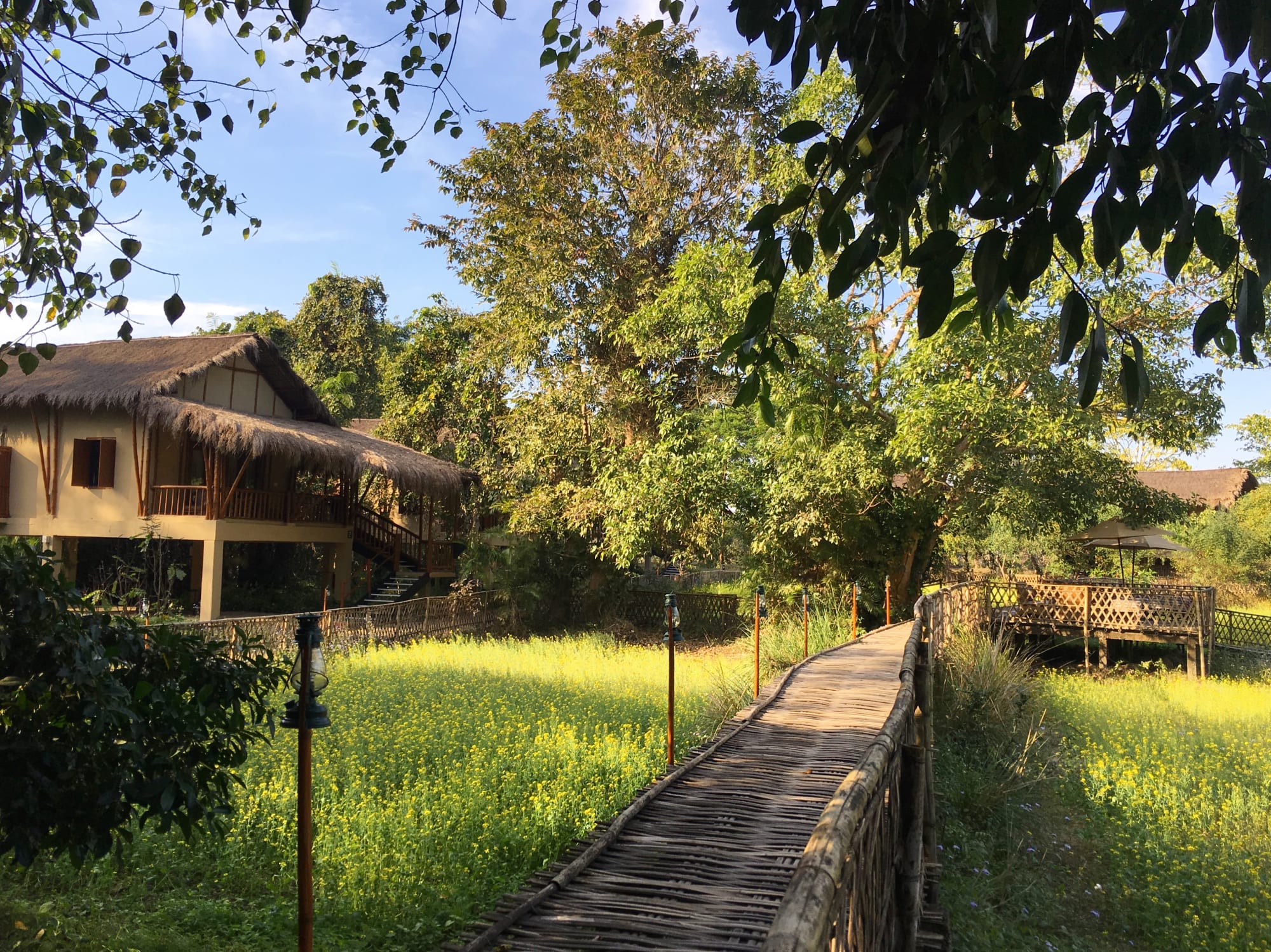 Diphlu River Lodge in Assam | Dibrugarh | Guwahati: Diphlu River Lodge