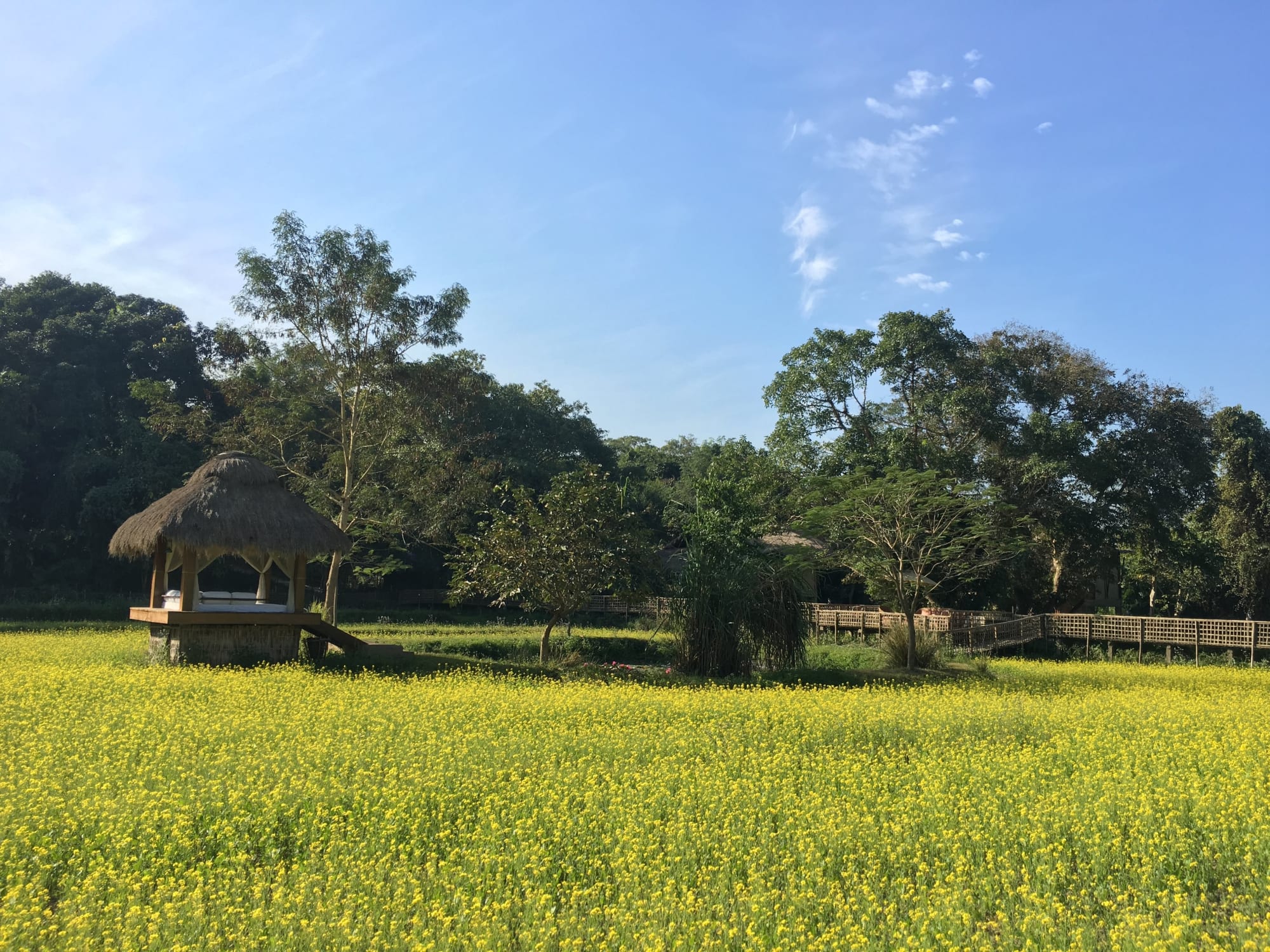 Diphlu River Lodge in Assam | Dibrugarh | Guwahati: Diphlu River Lodge
