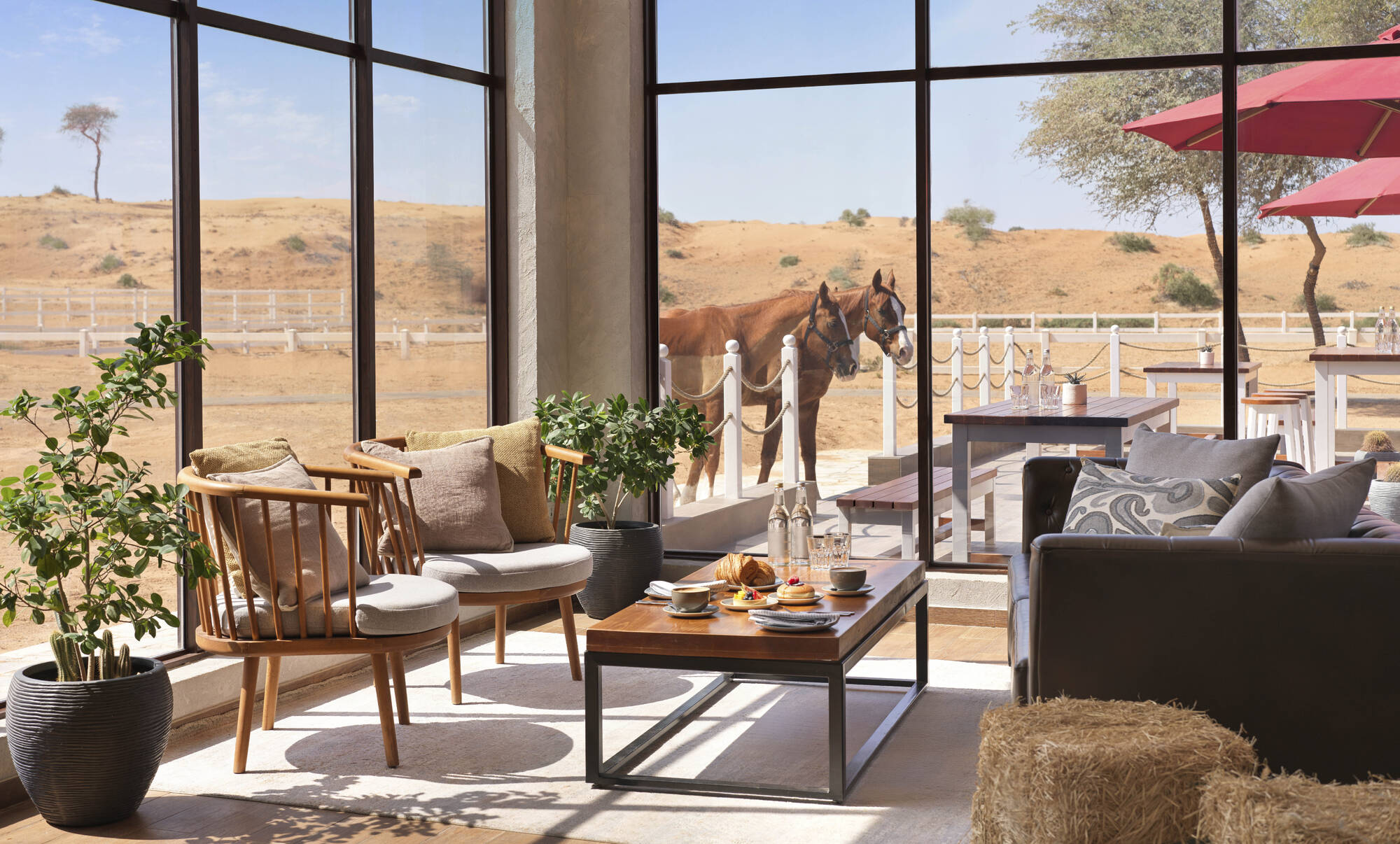 The Ritz-Carlton, Ras Al Khaimah, Al Wadi Desert in Ras al Khaimah: Paddock Café
