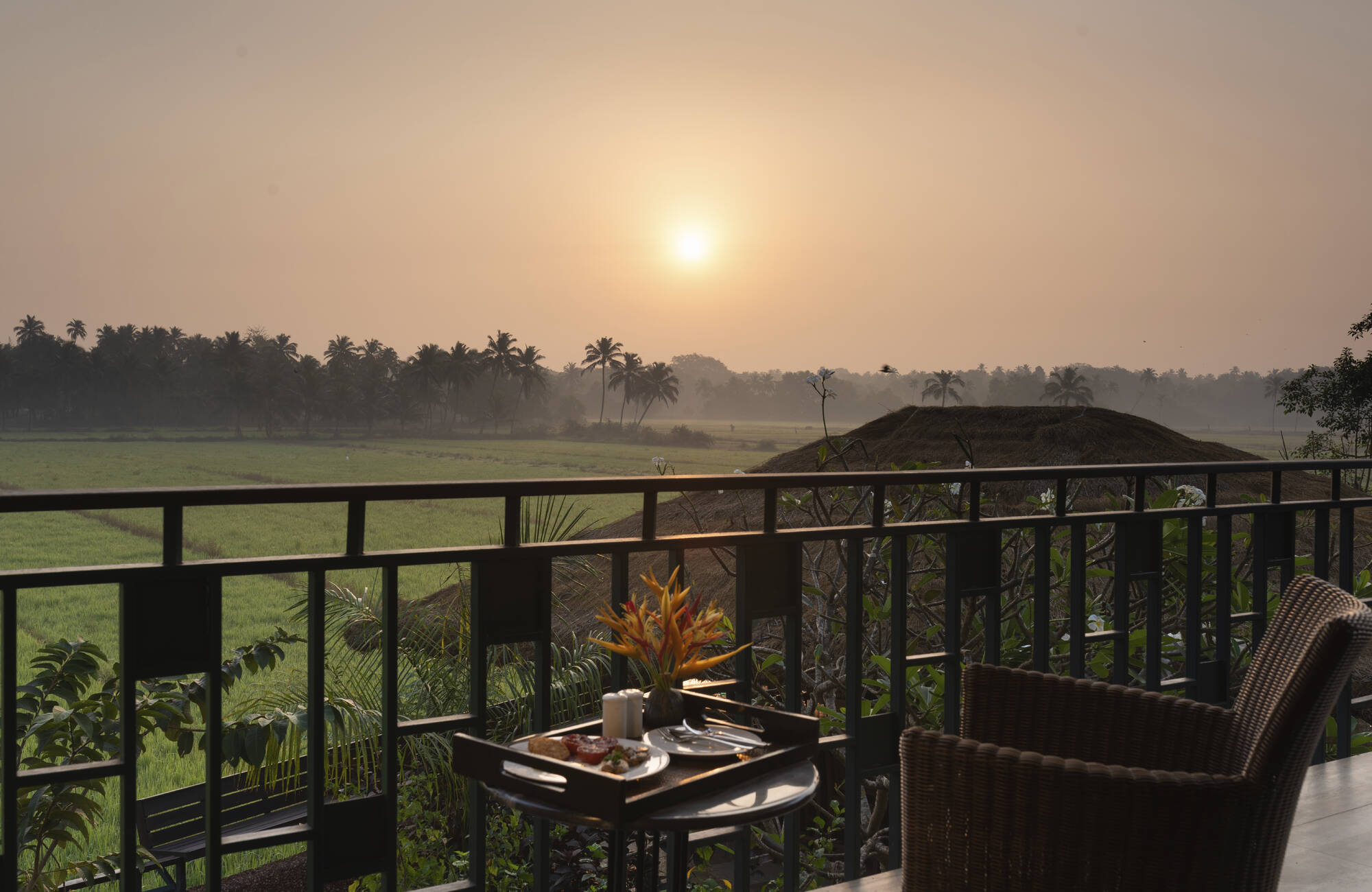 Beleza by the Beach in Goa: Paddy Field