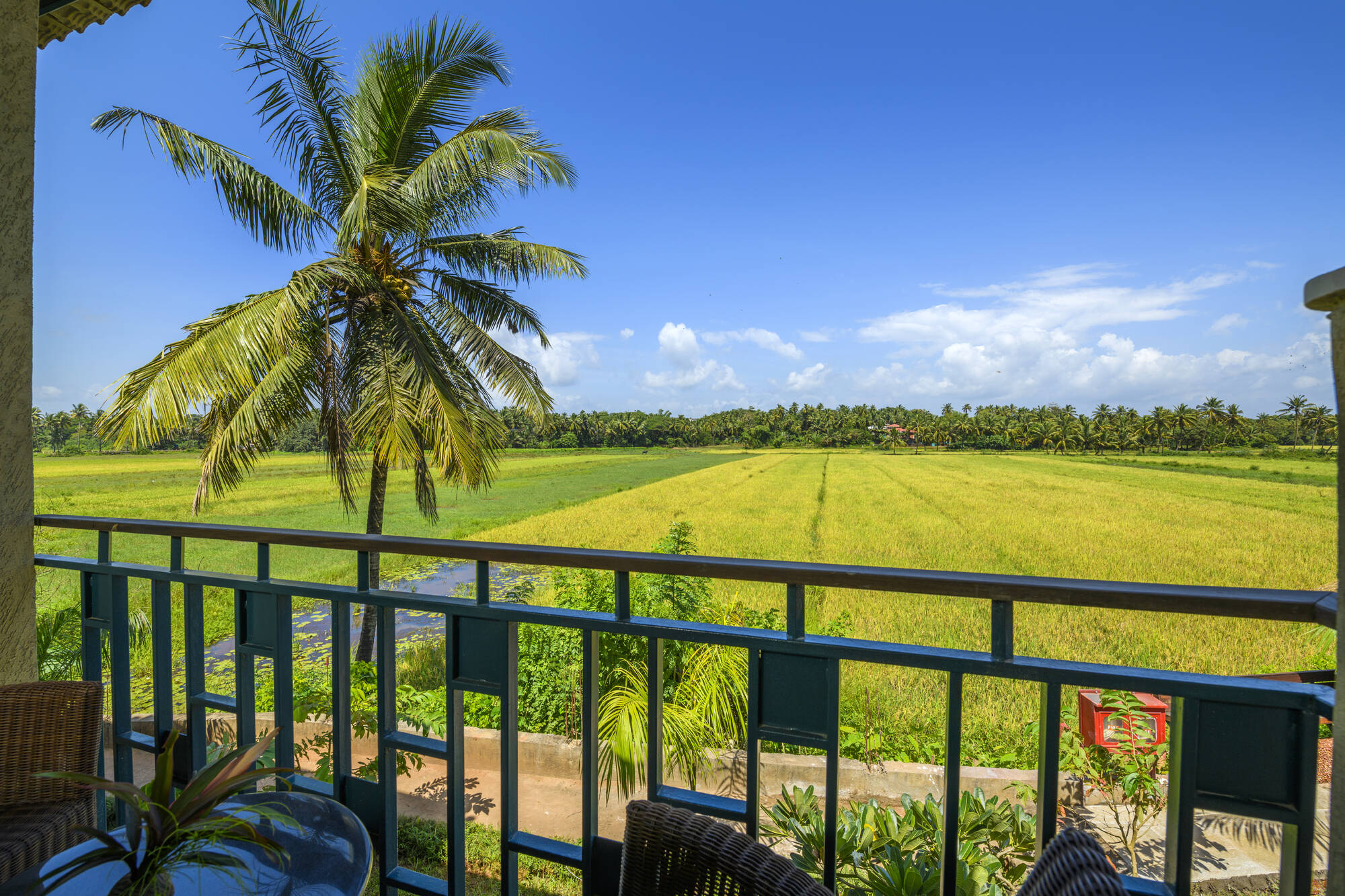 Beleza by the Beach in Goa: Beleza by the Beach