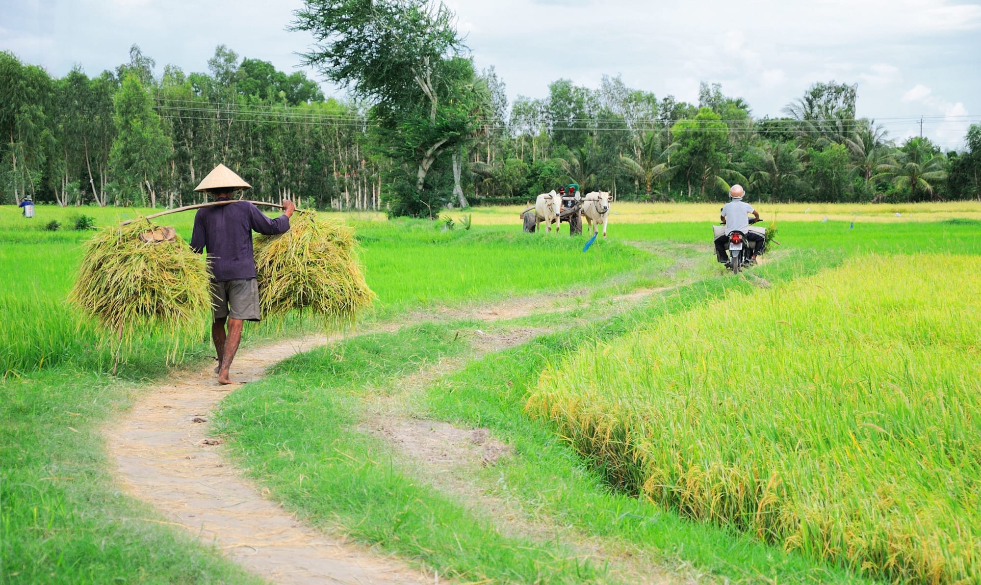Das Delta auf zwei Rädern ab Saigon: 1vn-farmer-mekong-delta-2-as-2017-danhvc