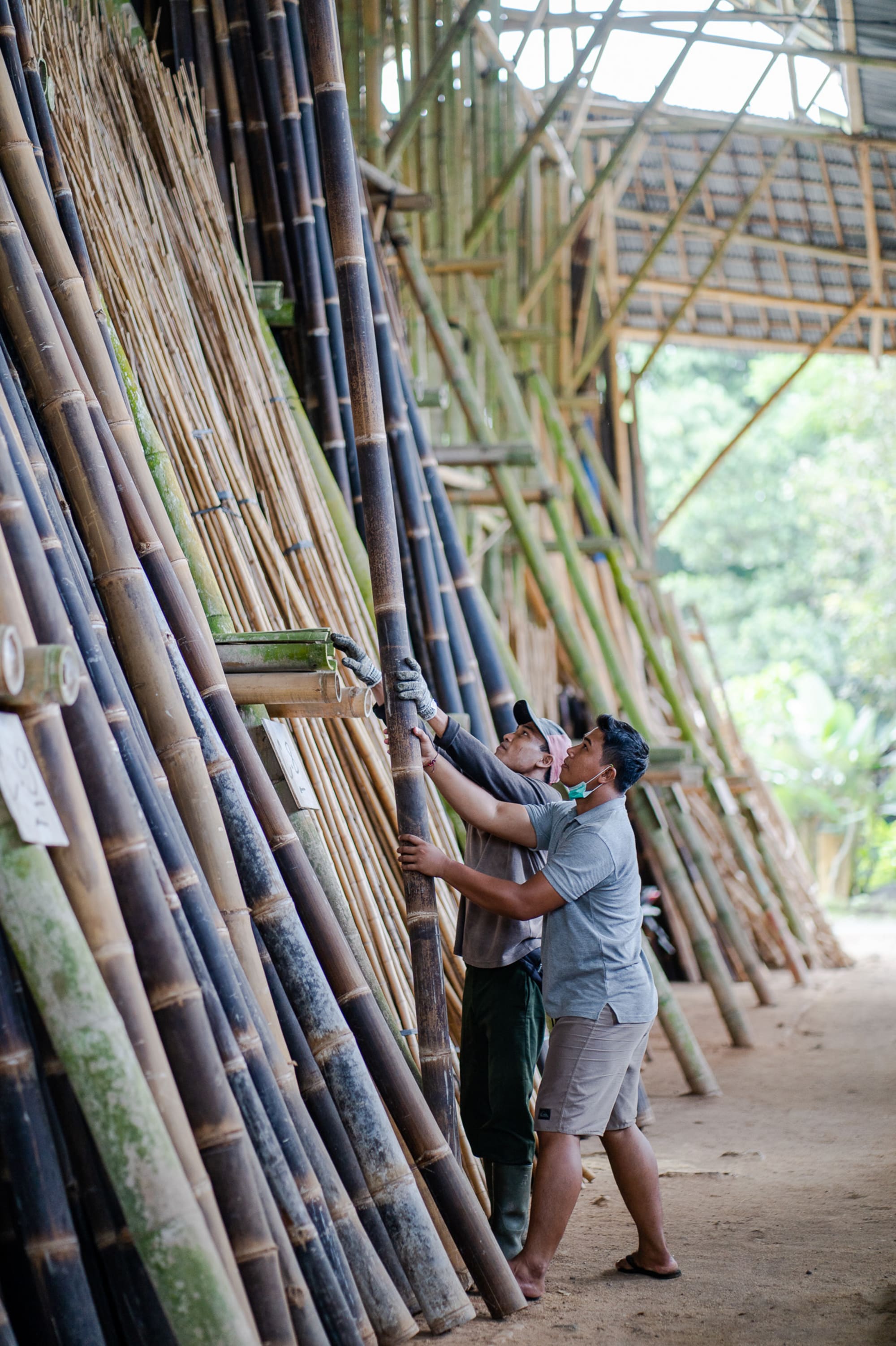 Bali Bamboo ab Süd-Bali: Indonesien Bali Green Village