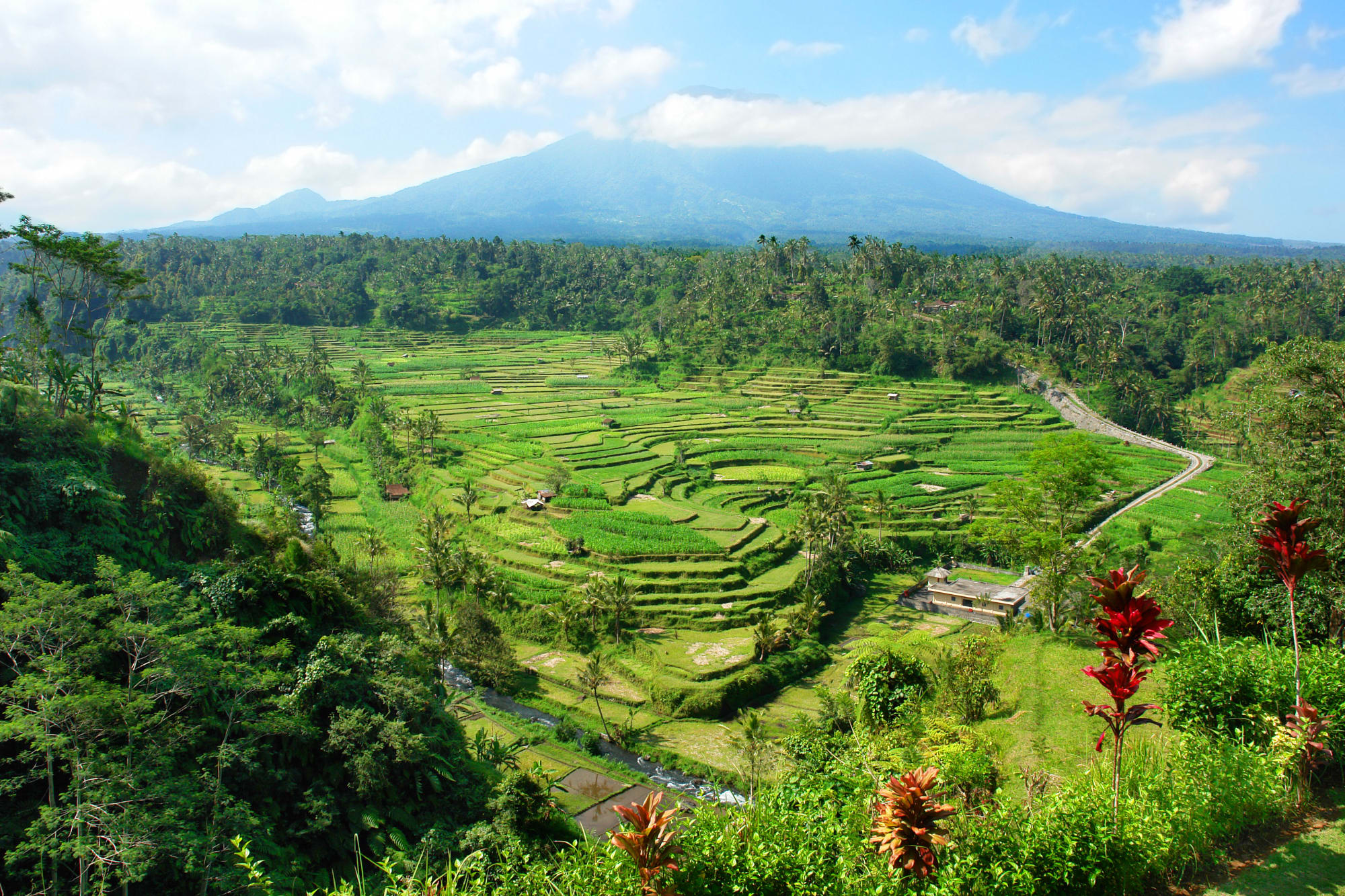 Bali Bamboo ab Süd-Bali: Indonesien Bali Kintamani