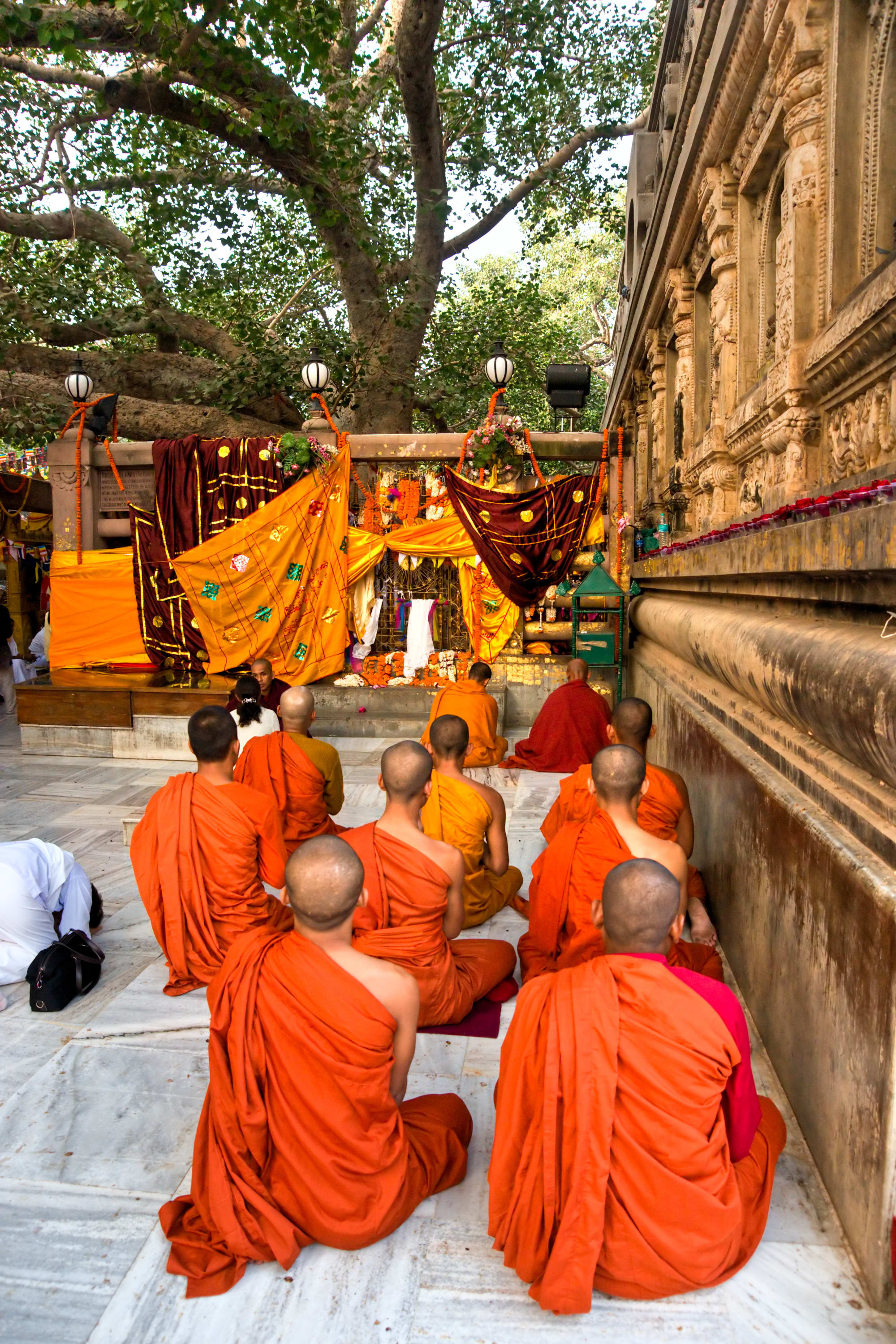 Mit dem Zug auf Buddhas Spuren ab Delhi: Indien Bihar Bodhgaya