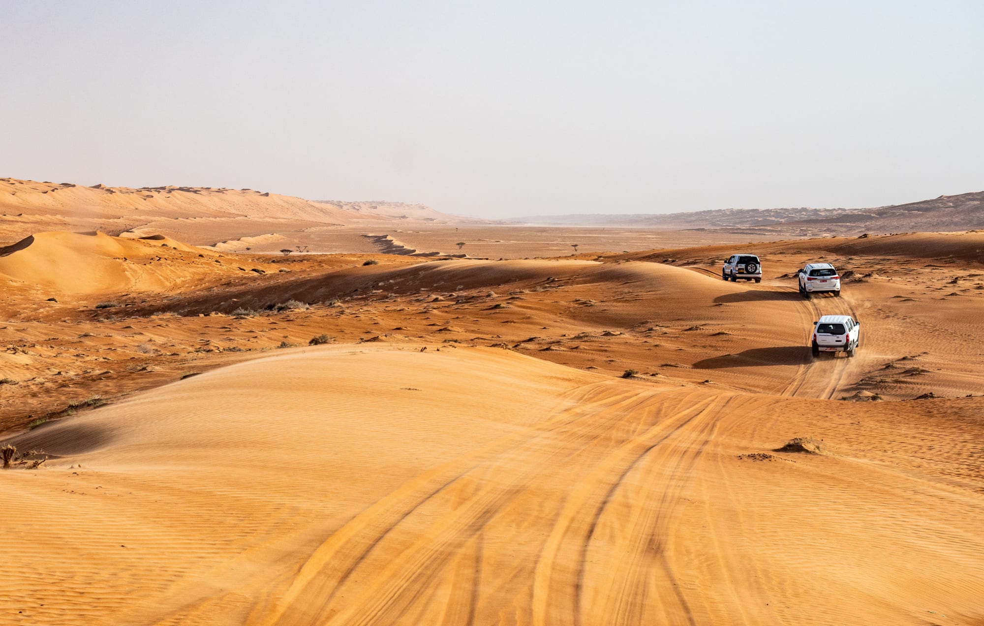 Offroadtour: Oman mal anders ab Muscat: Oman Wahiba Sands