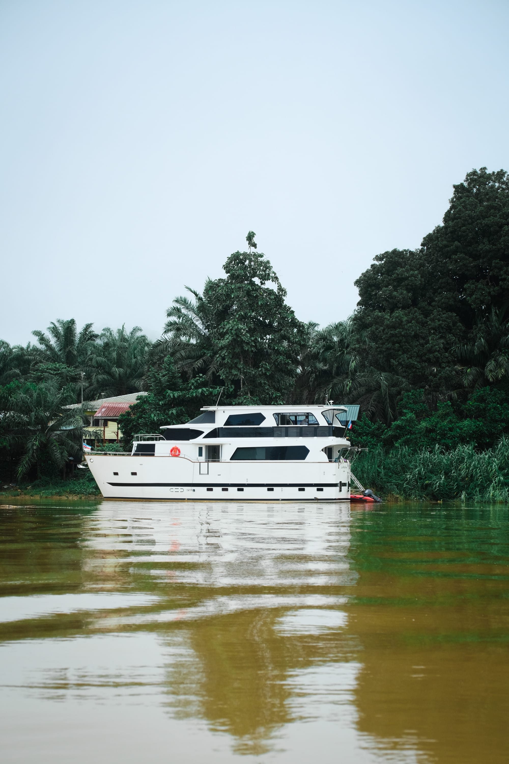 Kinabatangan: Flusskreuzfahrt durch Borneos Regenwald ab Sandakan: Safari-Kreuzfahrt 3