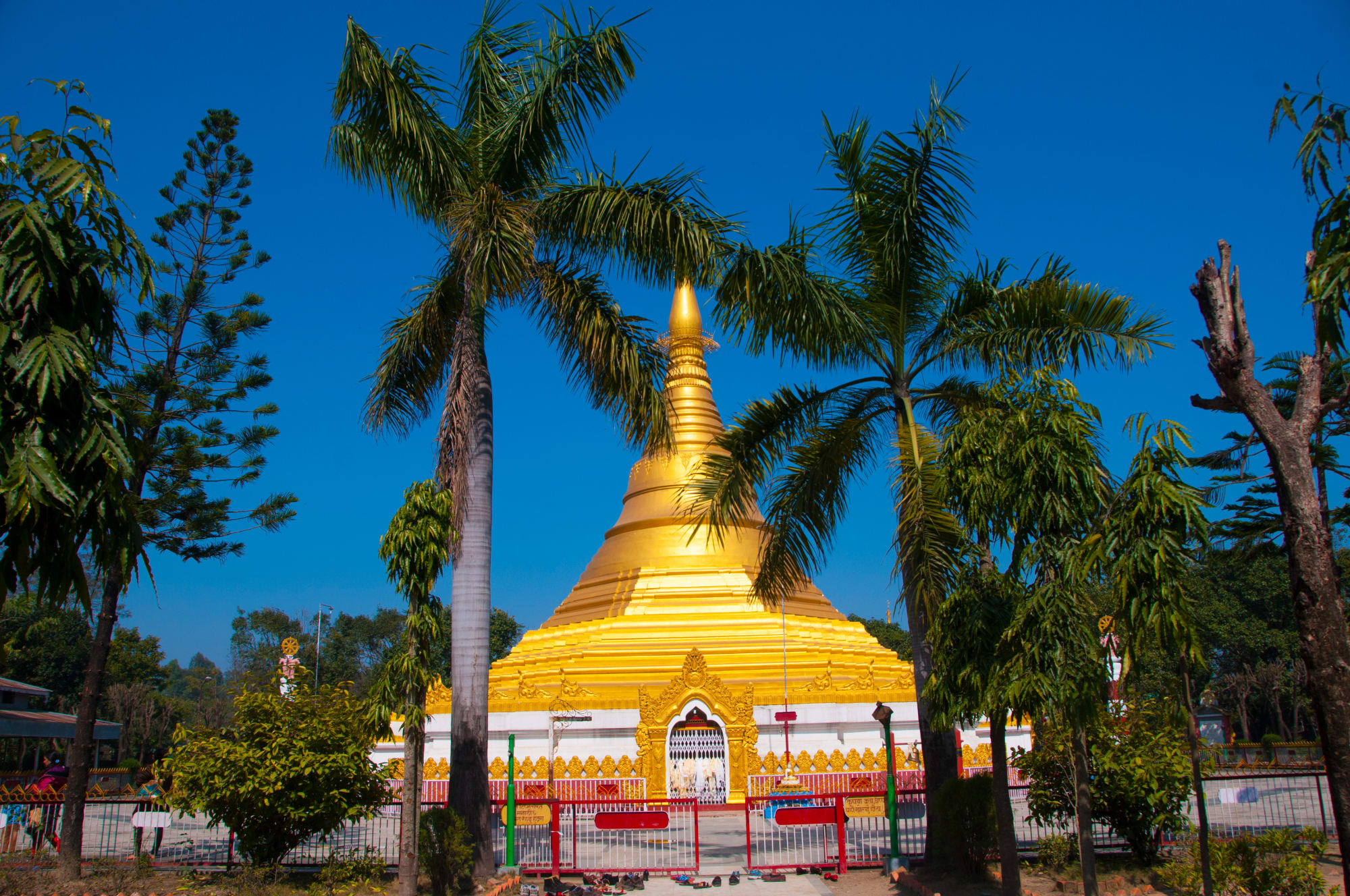 Mit dem Zug auf Buddhas Spuren ab Delhi: Nepal Lumpini