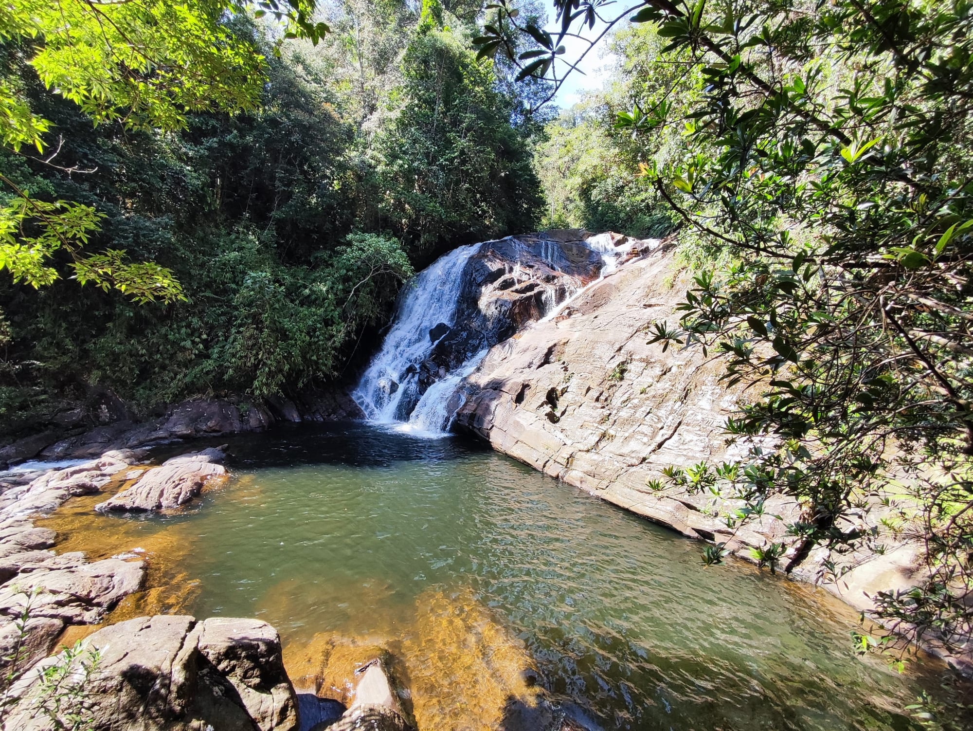 Sri Lanka aktiv erleben ab Colombo: Sri Lanka Sinharaja Rainforest