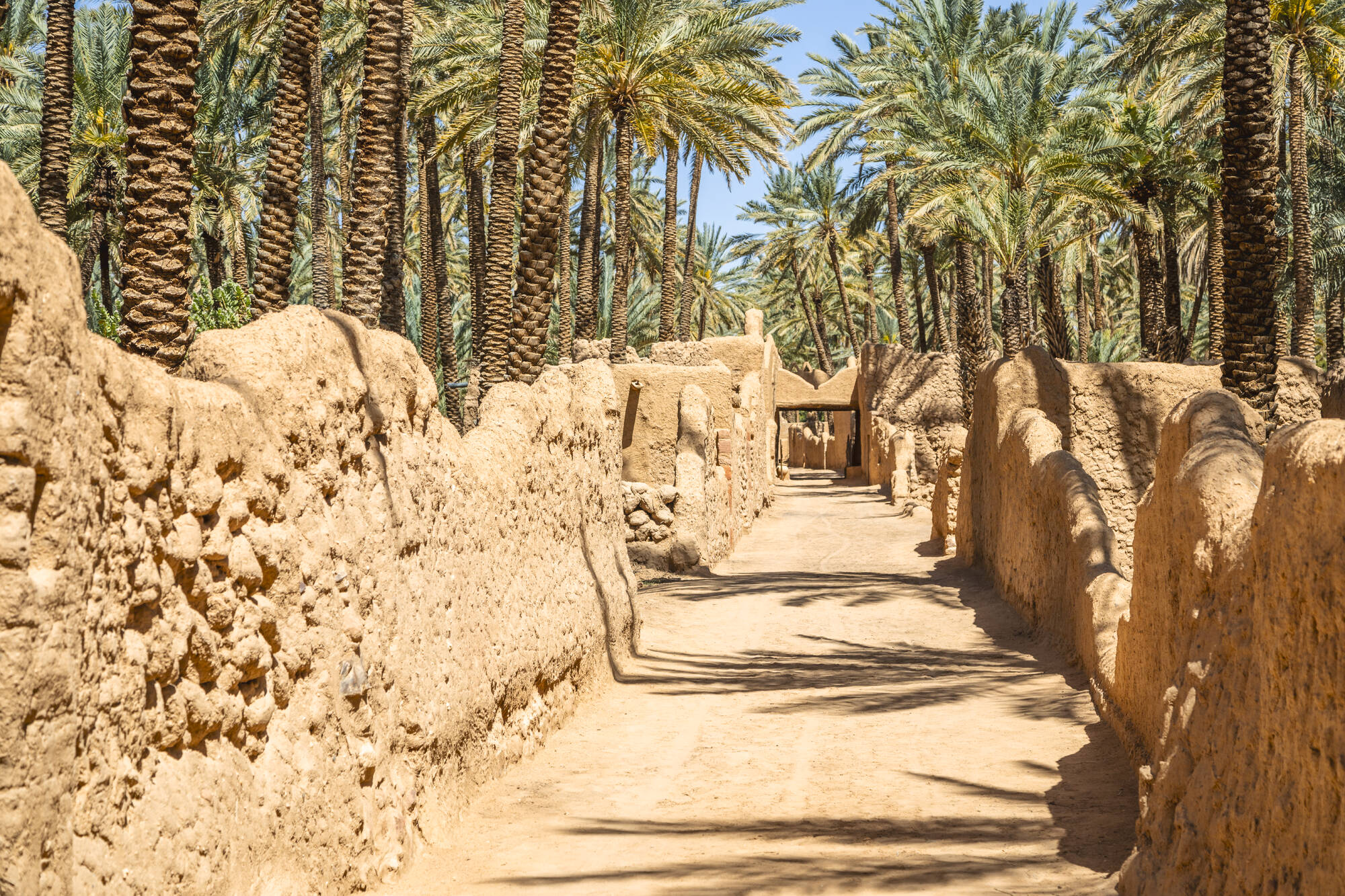 Königreich der Kontraste ab Riad: Saudi Arabien AlUla