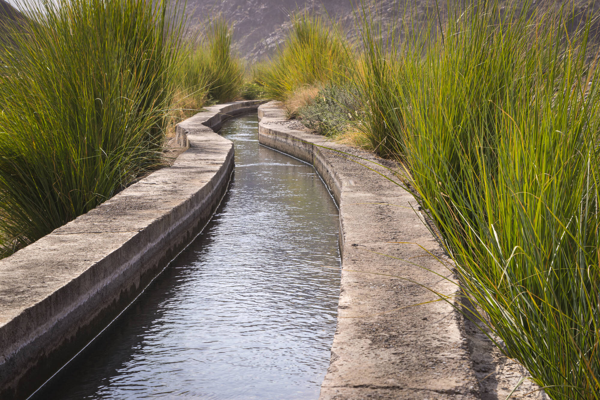 Unter weitem Himmel ab Muscat: Oman Falaj System