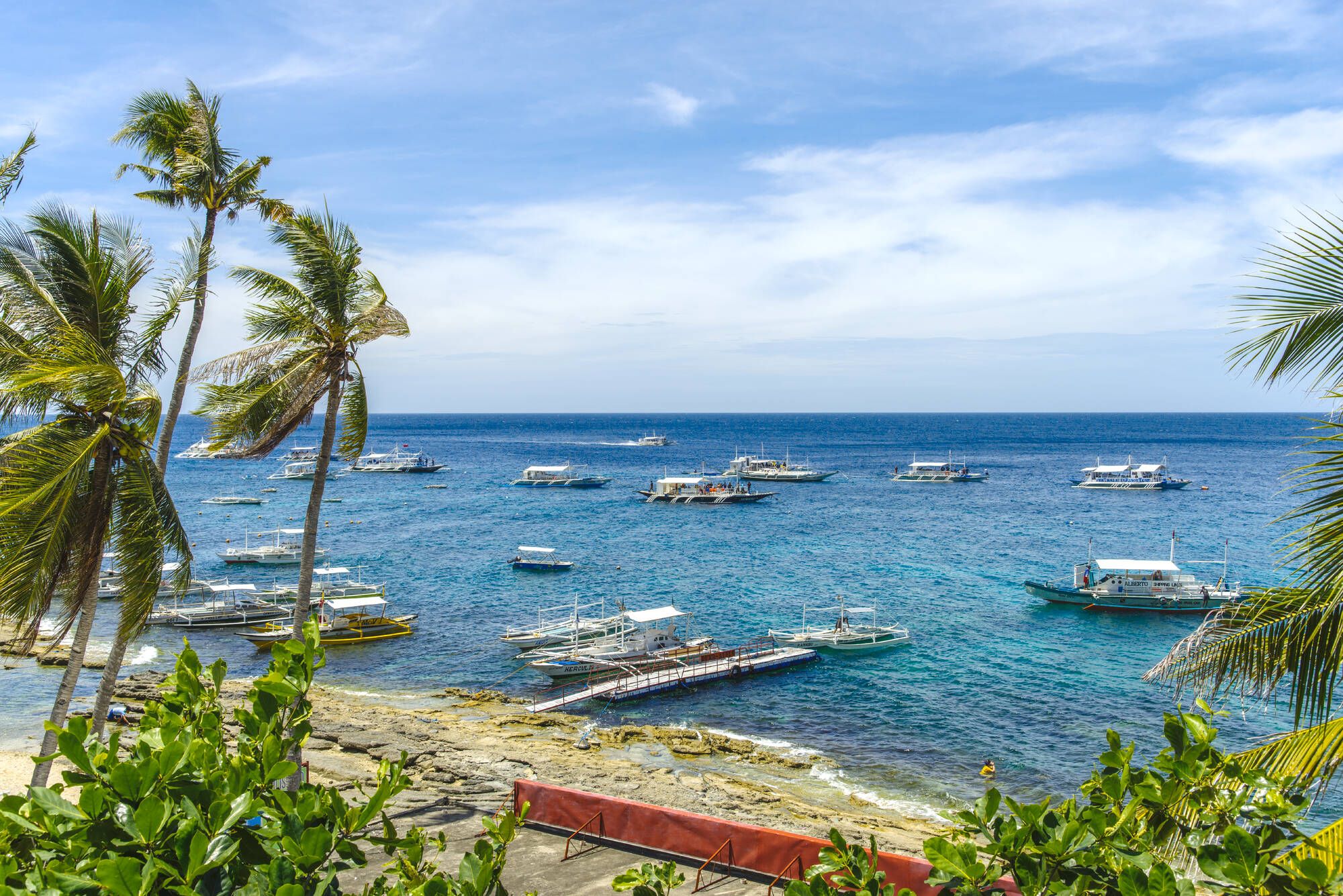 Südliche Visayas: Inselhüpfen, Schokoladenhügel und Koboldmakis ab Bohol: Philippinen Apo Island