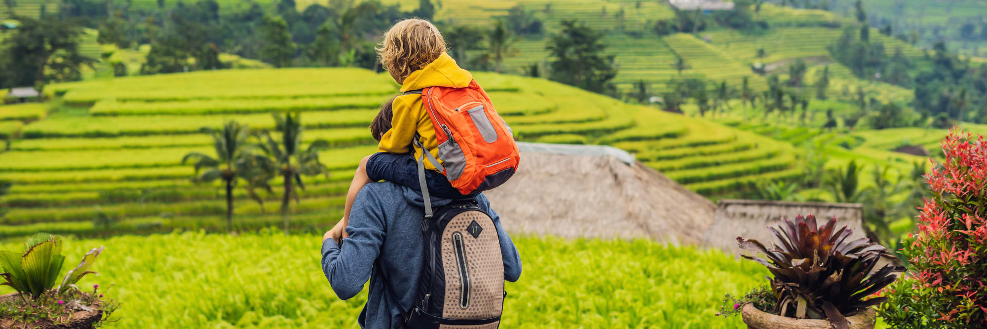 Familienabenteuer Bali ab Süd-Bali: Indonesien Bali Reisterrassen Familie