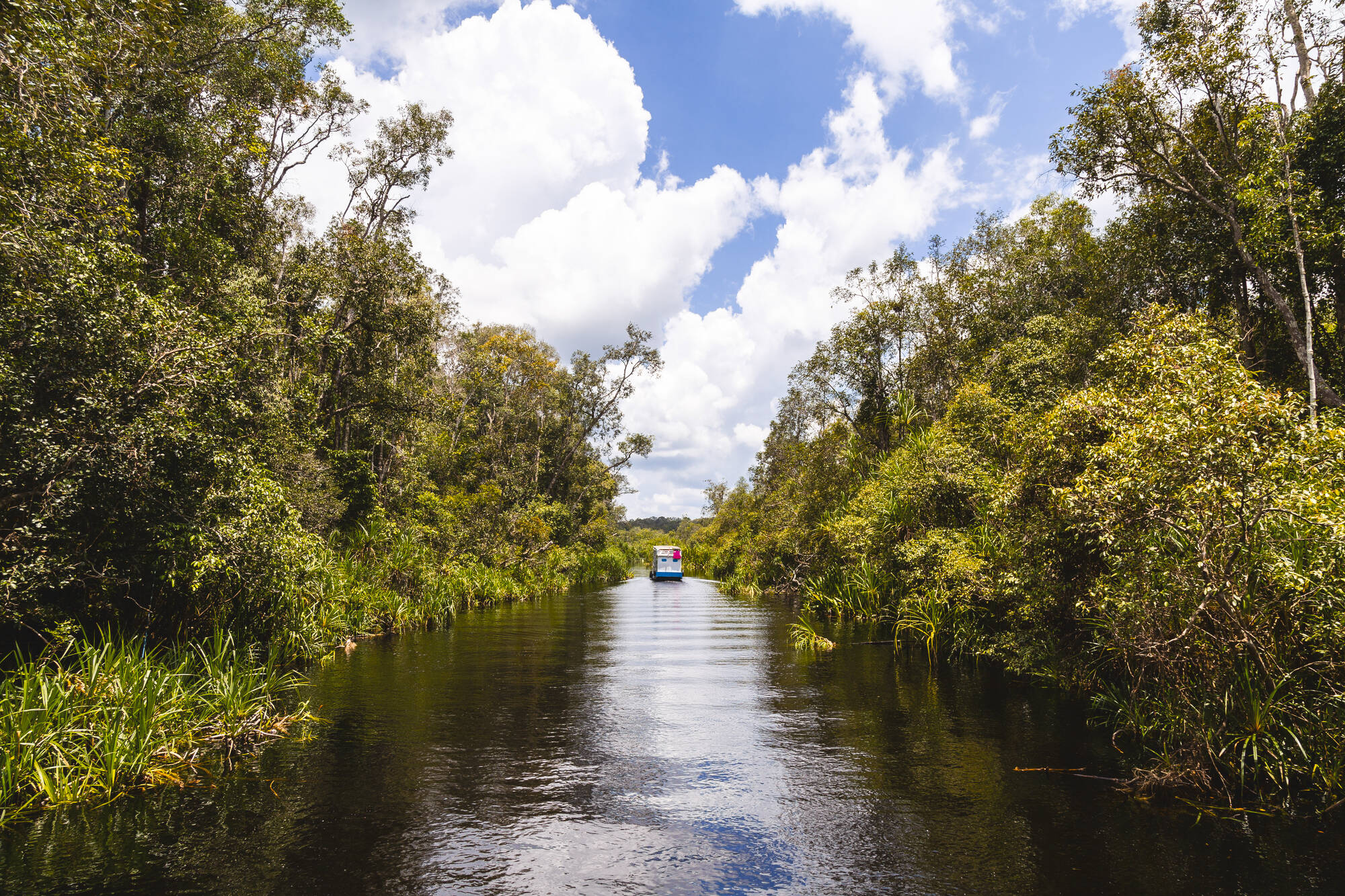 Tanjung Puting Nationalpark ab Palangkaraya: Borneo Tanjung Puting National Park