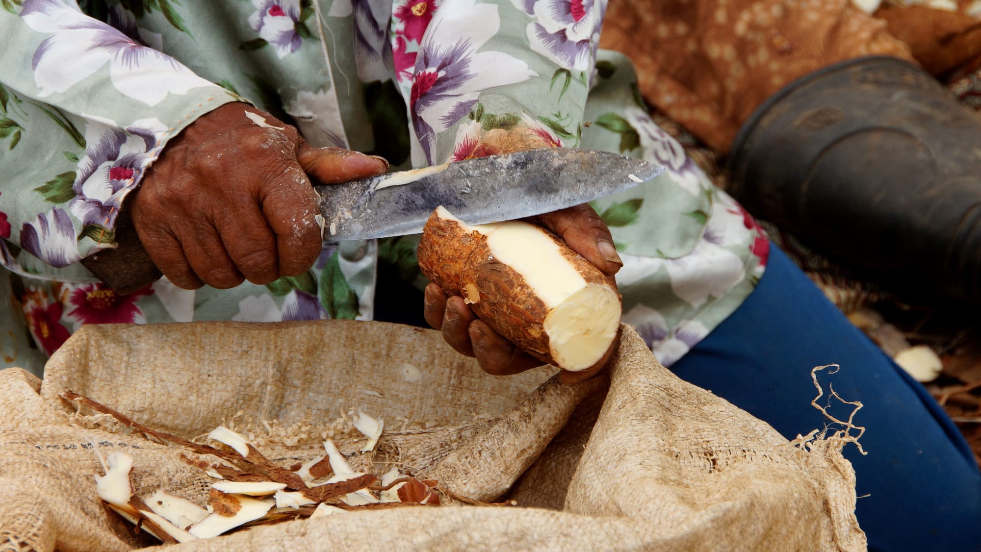 Bali mal anders ab Süd-Bali: Indonesien Bali Maniok