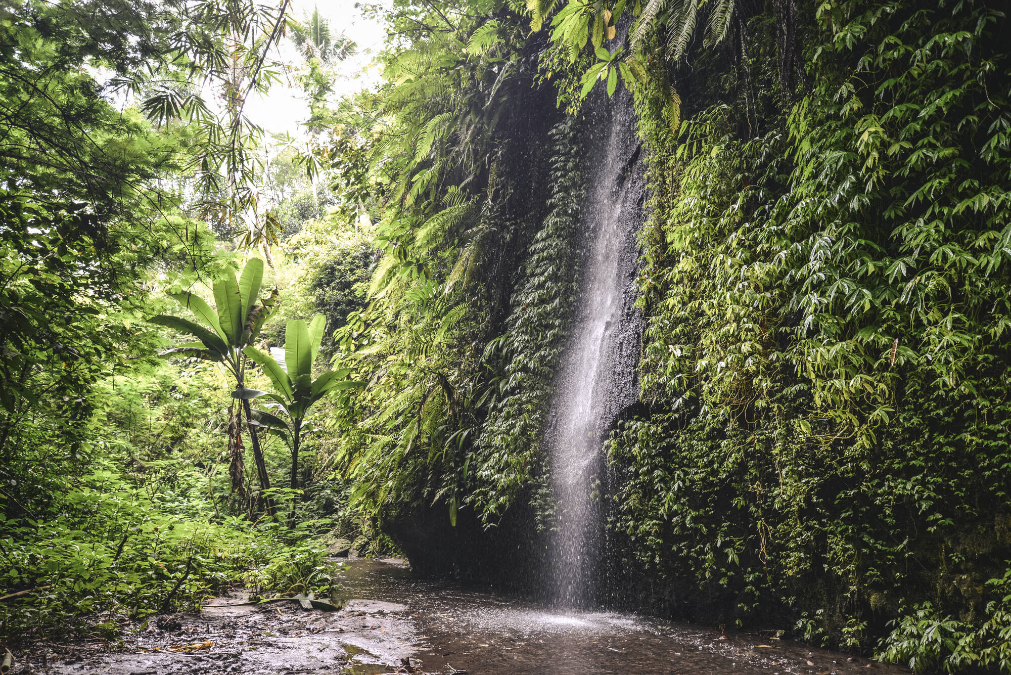 Bali mal anders ab Süd-Bali: Indonesien Bali Tukad Cepung Wasserfall