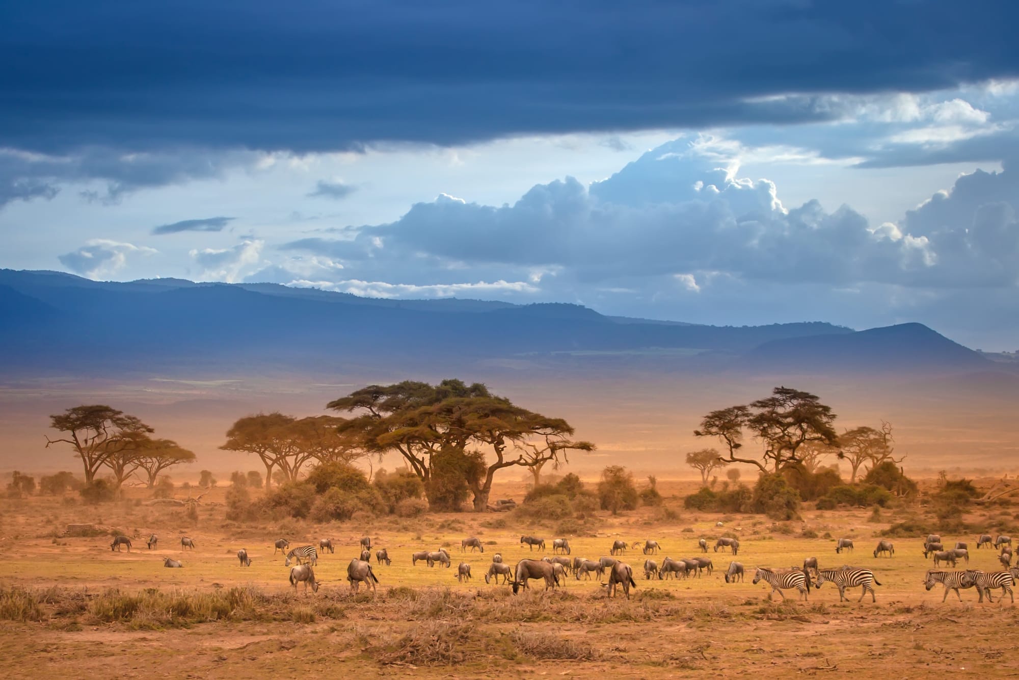 Savanne & Inseltraum ab Nairobi: Kenia Savanne