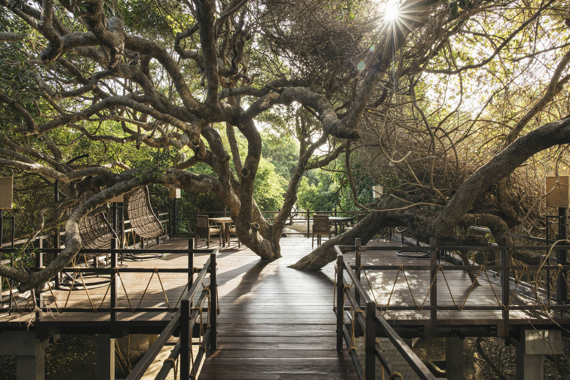 Jungle Beach, an Uga Experience in Ostküste: Tree Top Deck
