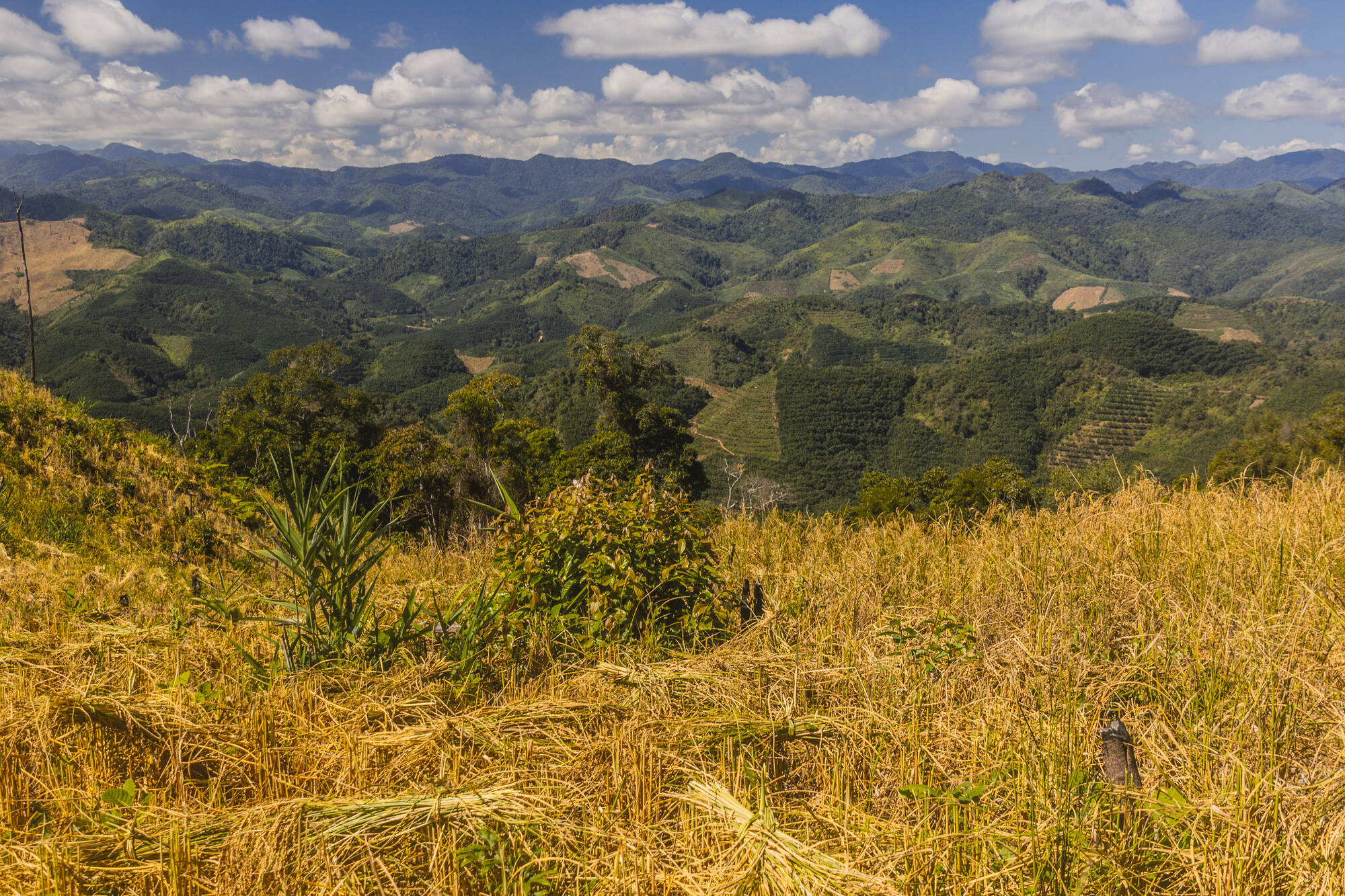 Zwischen Bergen und Tradition ab Luang Prabang: Laos Luang Namtha