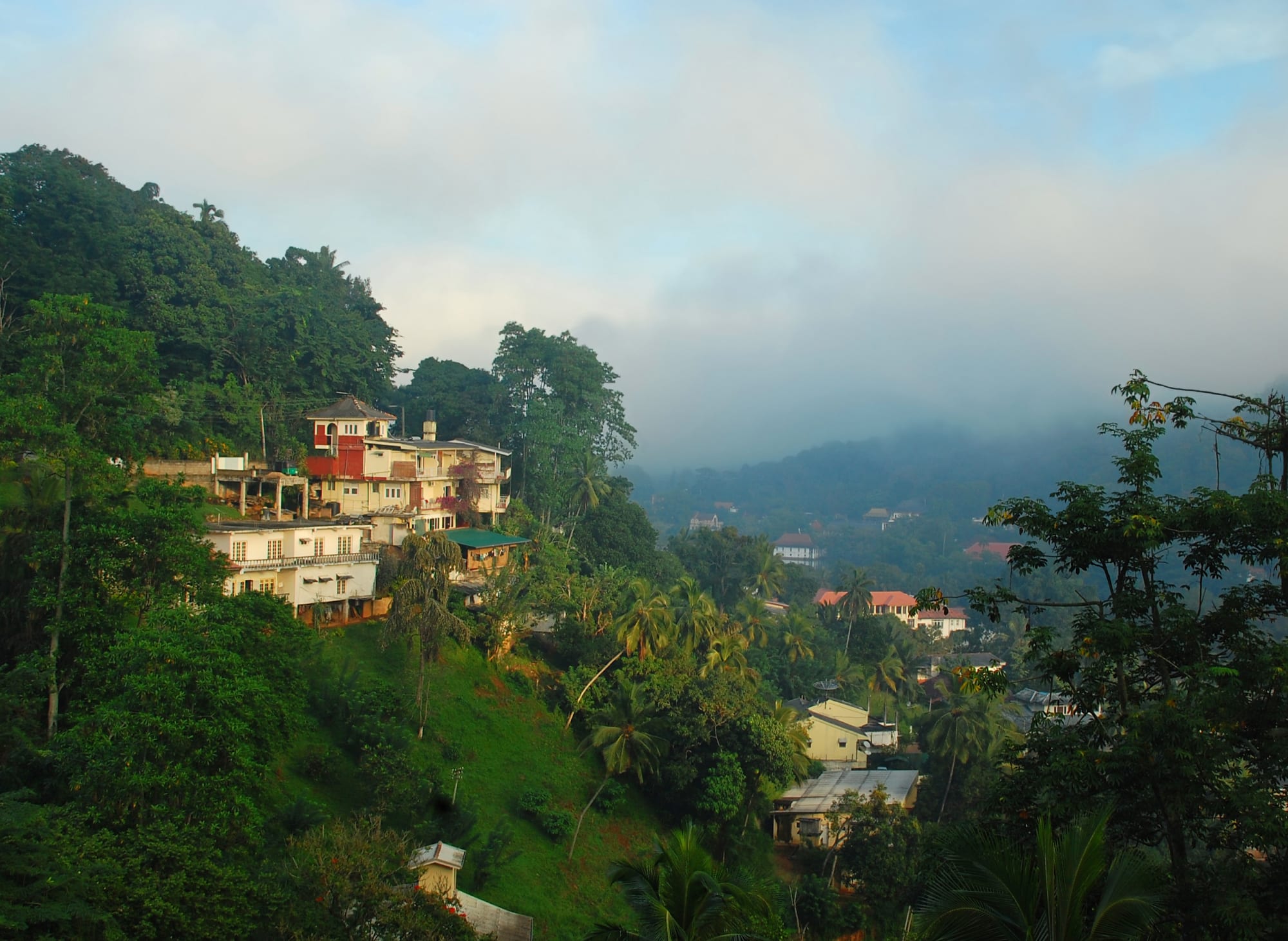 Königsstädte & Korallen ab Colombo: Sri Lanka Kandy