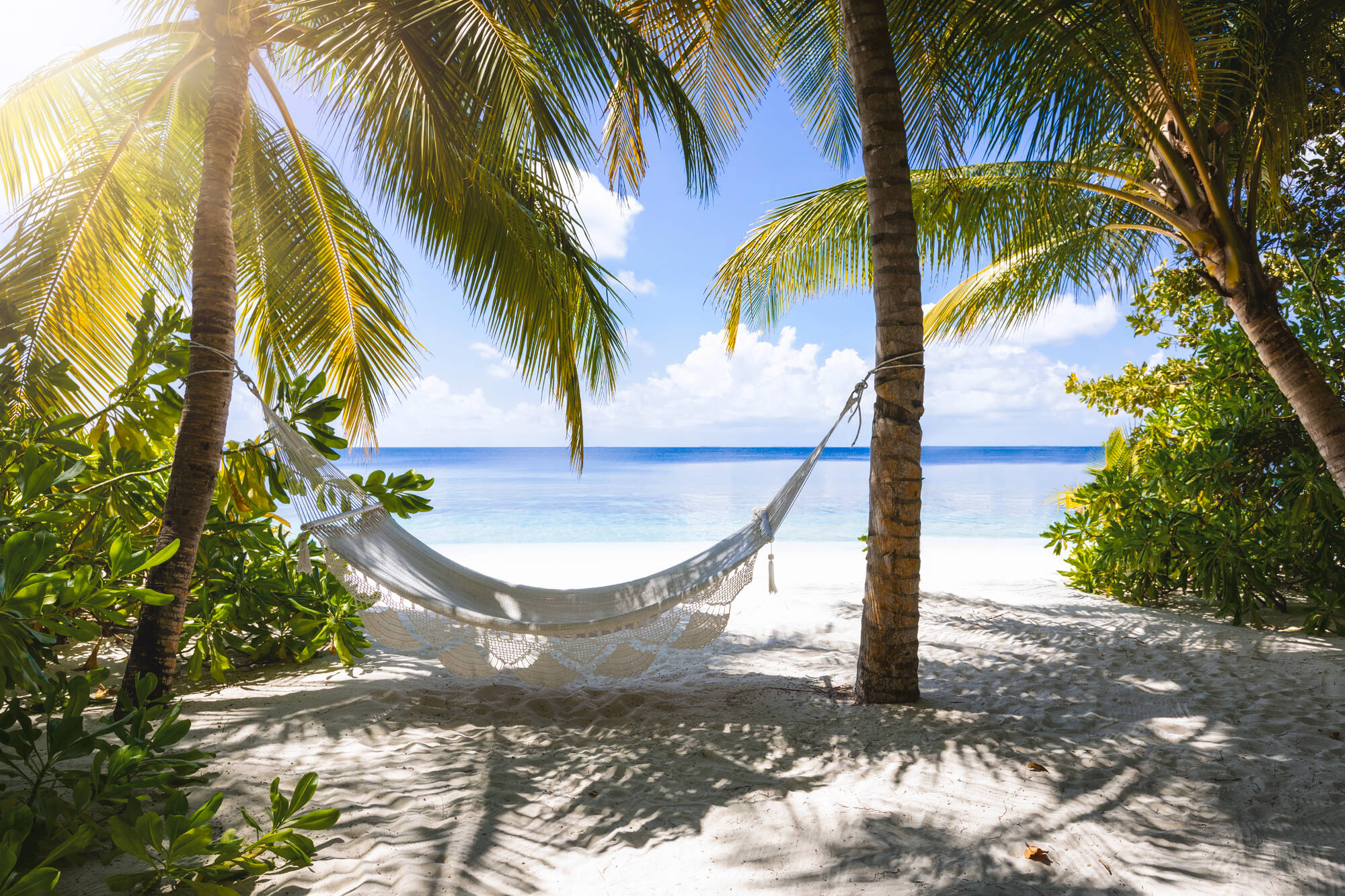 Königsstädte & Korallen ab Colombo: Malediven Hängematte am Strand