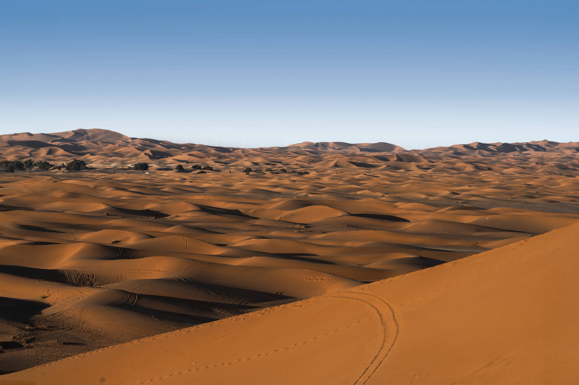 Kenzi Rissani in Ouarzazate | Skoura | Dades-Tal: Kenzi Rissani