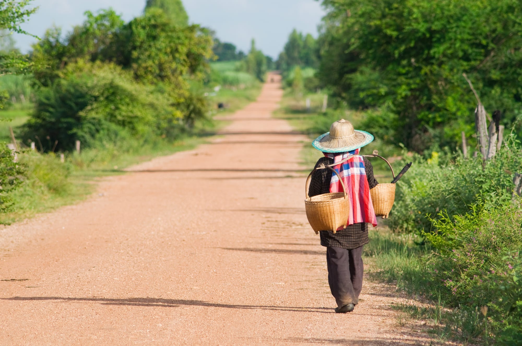 Isan - wo Thailand erwacht ab Ubon Ratchathani: Thailand Isan Bauer
