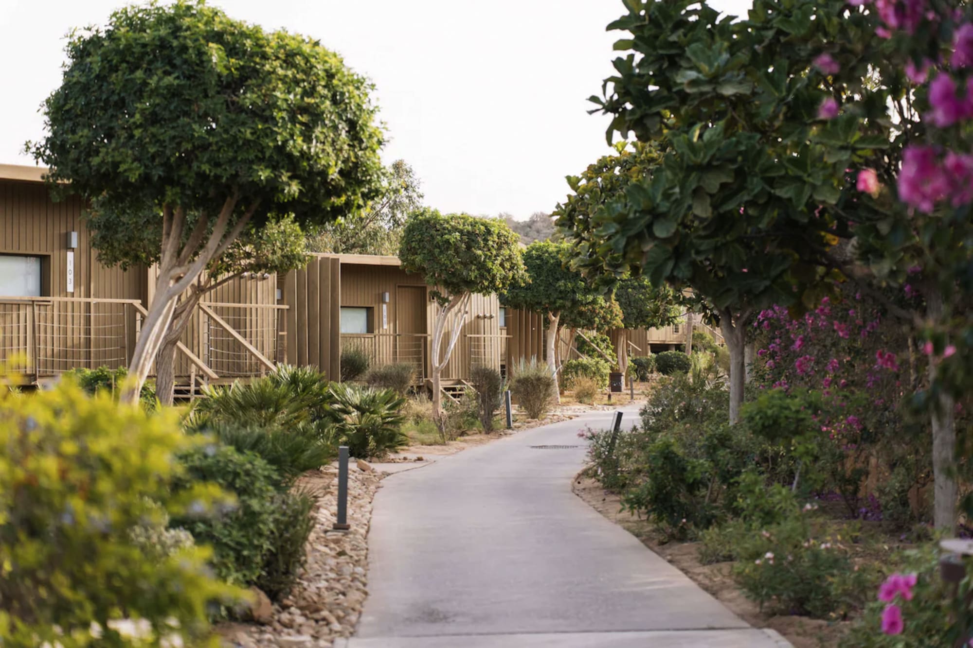 Radisson Blu Resort, Taghazout Bay Surf Village in Agadir | Taghazout: Radisson Blu Resort