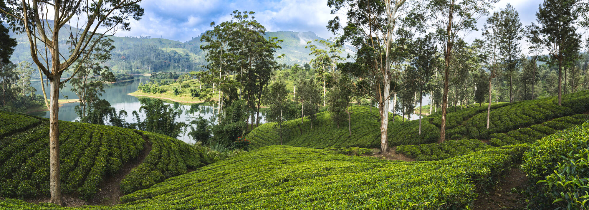 Sri Lankas Sommerroute ab Colombo: Sri Lanka Hatton Castlereagh Reservoir