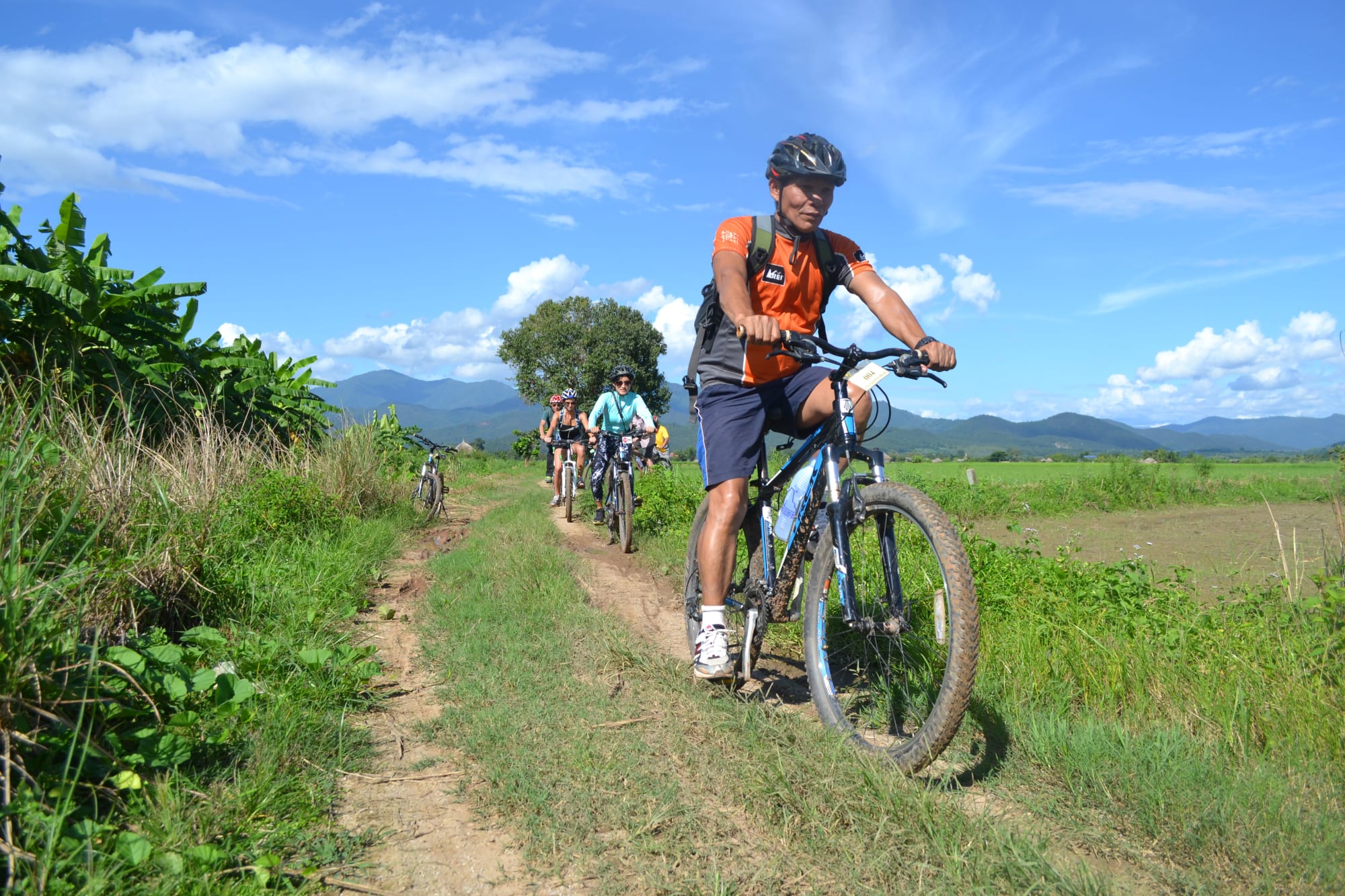 Nordthailand Aktiv - Natur & Elefanten ab Chiang Mai: Thailand Nordthailand aktiv